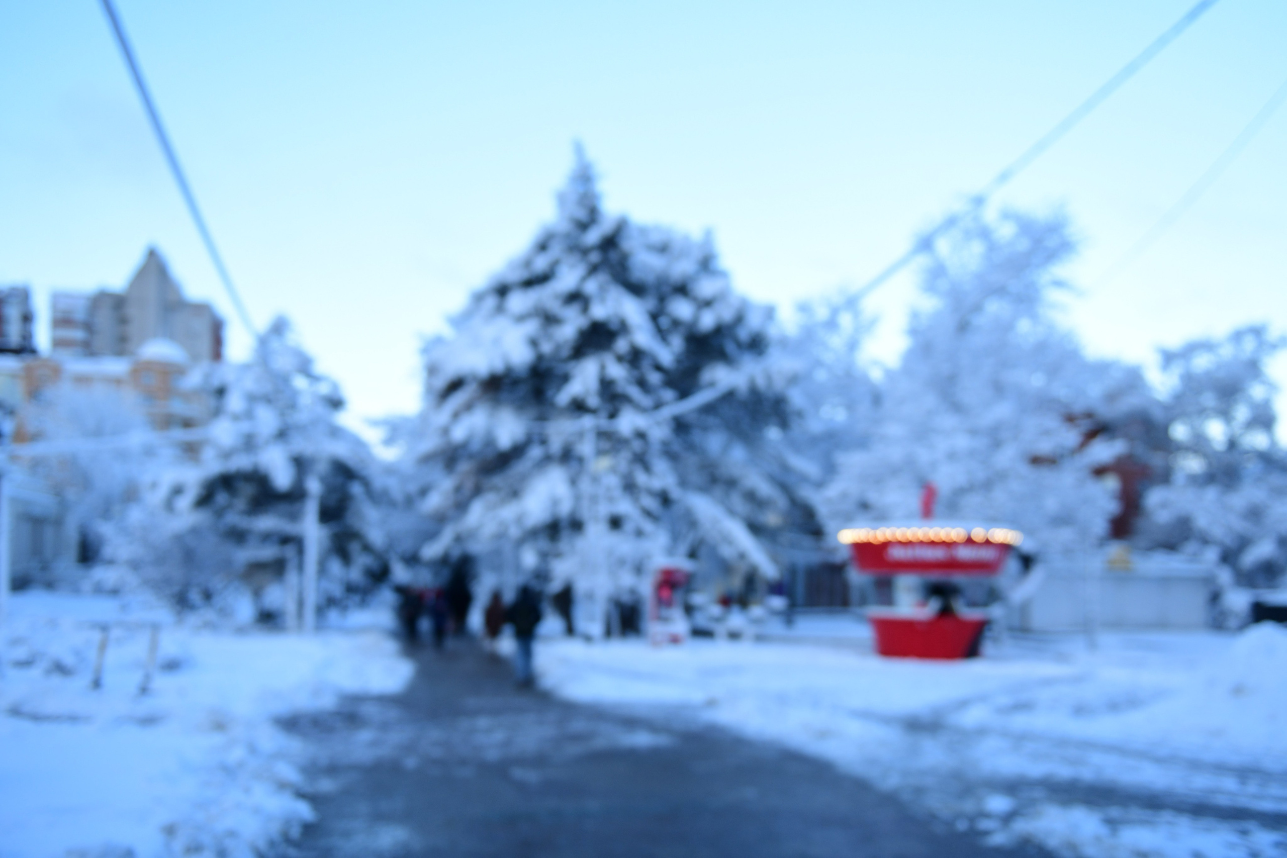 РОСТОВ. Фотограф Глеб Садов