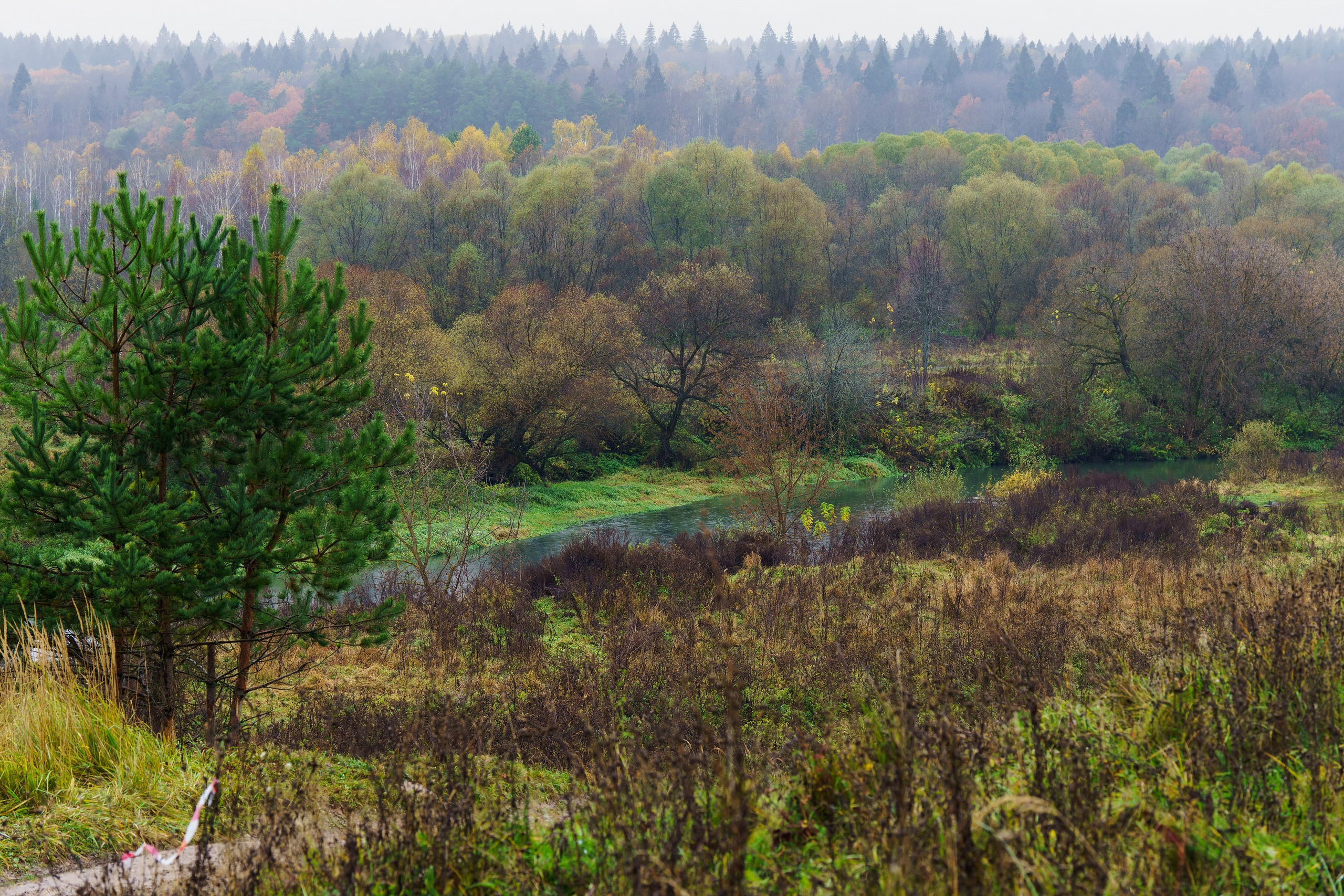 Фотографии Трейл Кутузов 2025. Фотограф спортивные события, недвижимость, турбизнес