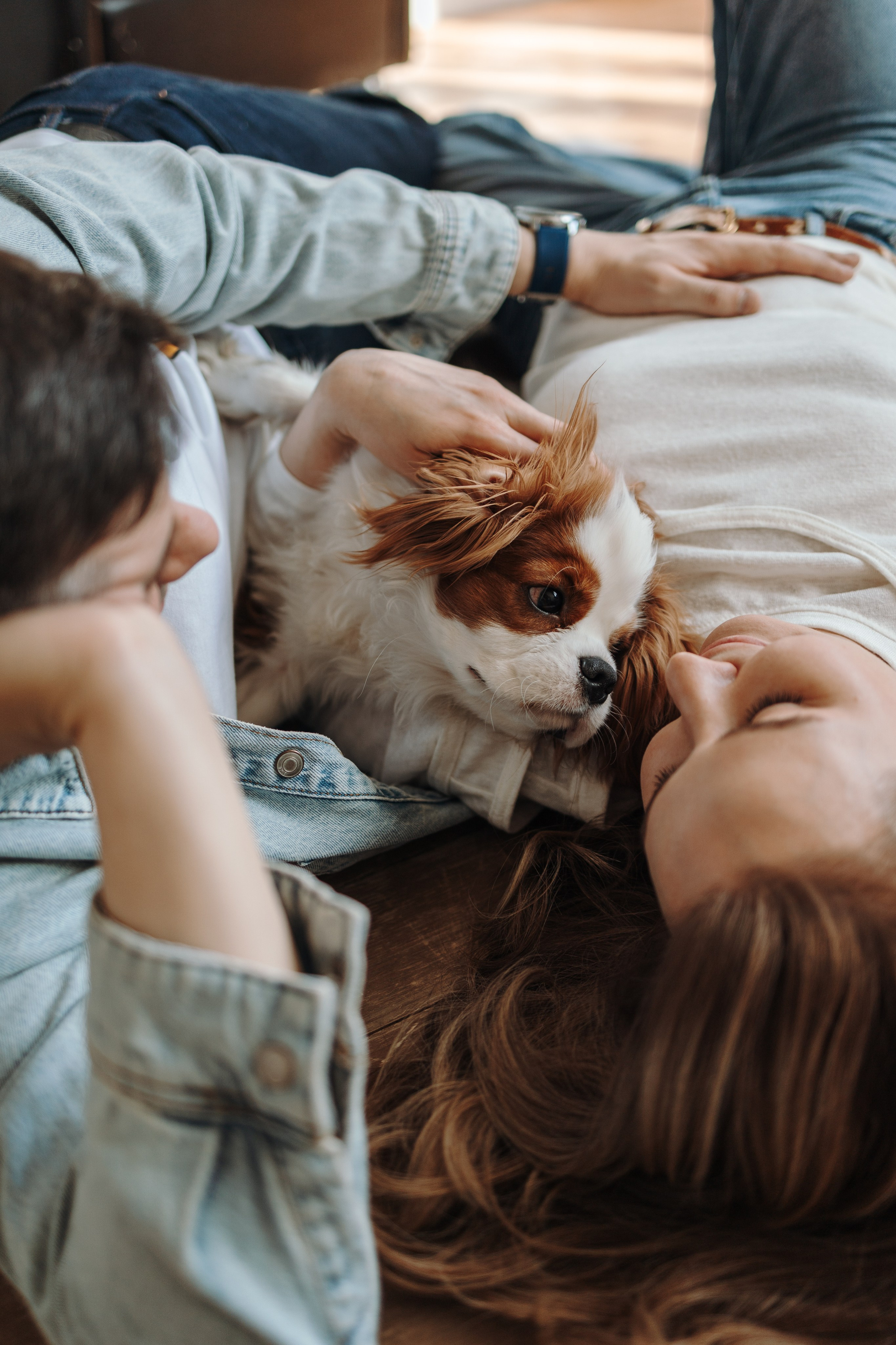 Плуто и его семья. Фотограф — Анималист | Санкт-Петербург