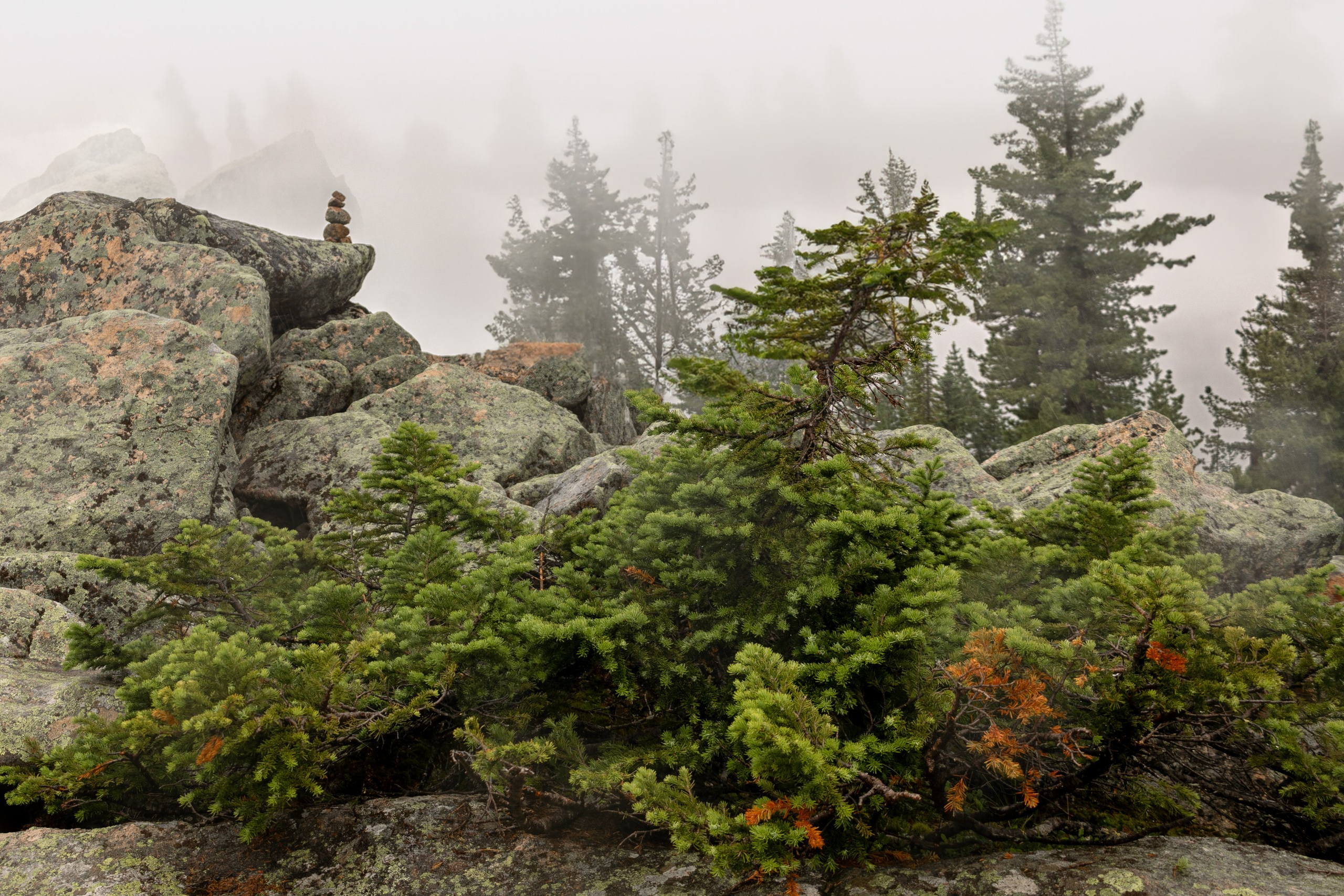 Ергаки. Семейный и детский фотограф в Красноярске, Дивногорцева Светлана