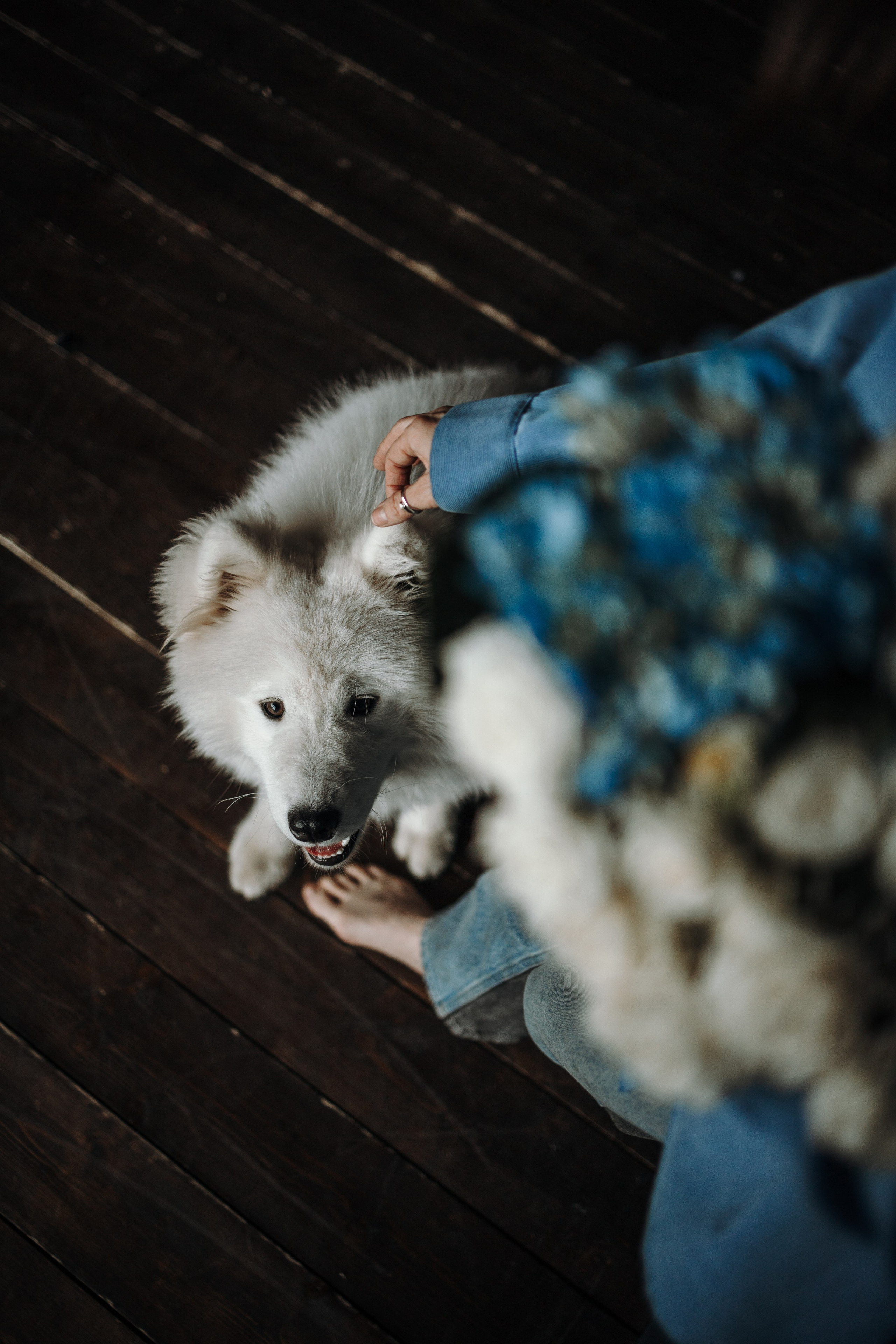 Марина и Мушу. Фотограф — Анималист | Санкт-Петербург