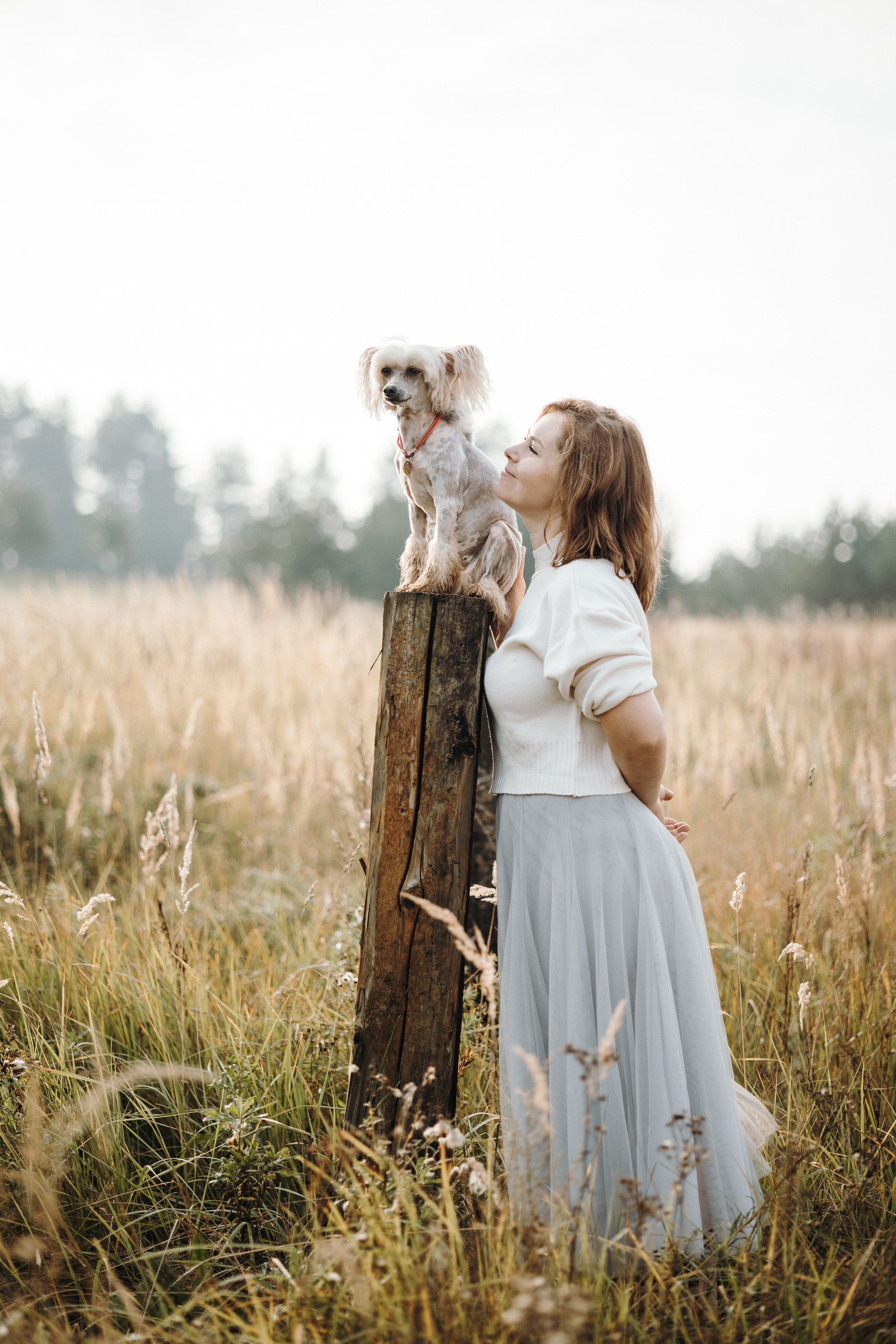 Любовь и ее хвостики. Фотограф — Анималист | Санкт-Петербург