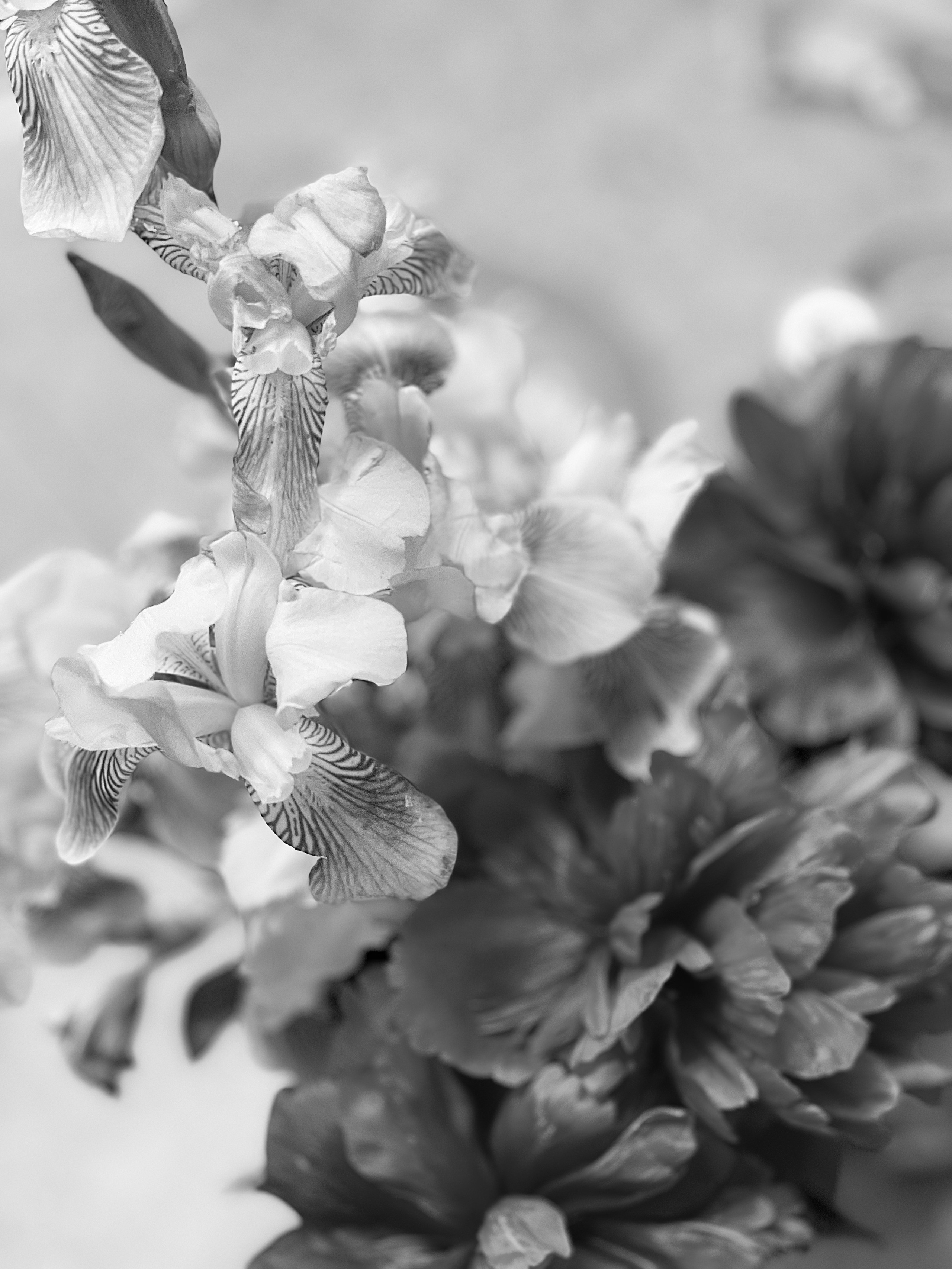 ЧБ. Творческая фотография Юлии Артюх, Москва