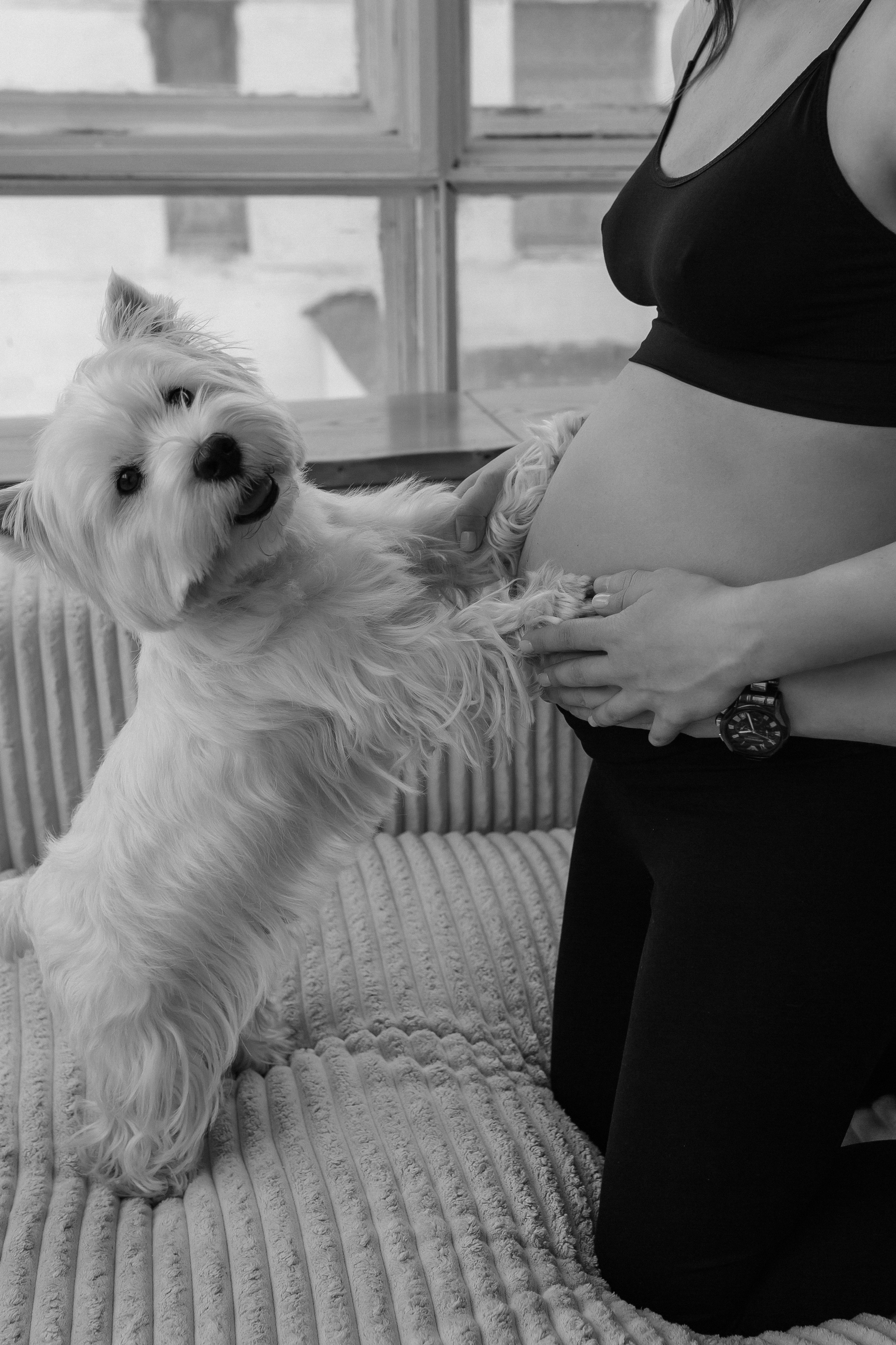 Фотосессия беременности. Фото Радости. Свадебный и семейный фотограф в Москве Юлия Самойлова