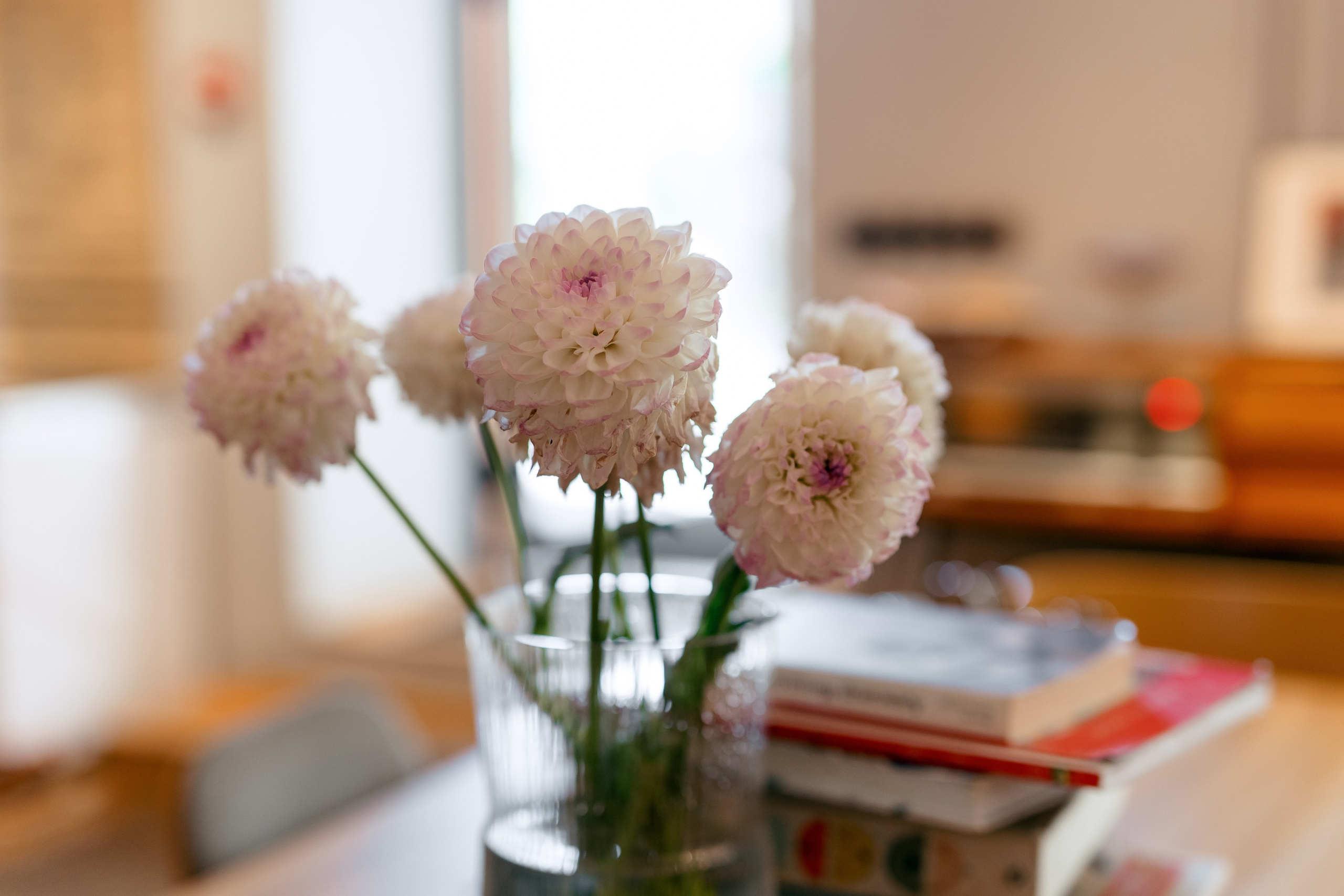 Виталий и Мария. Свадебный и семейный фотограф в Туле и области Маша Костина