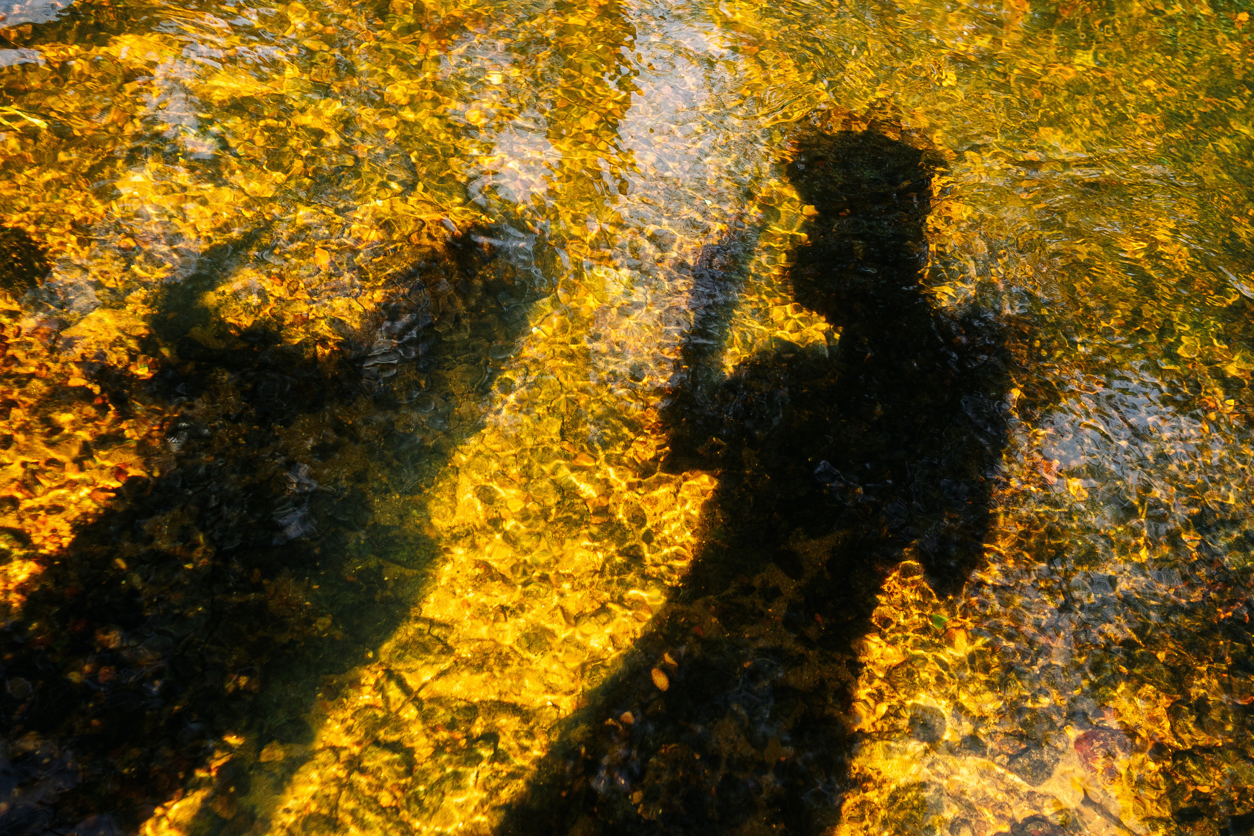 Оля природа