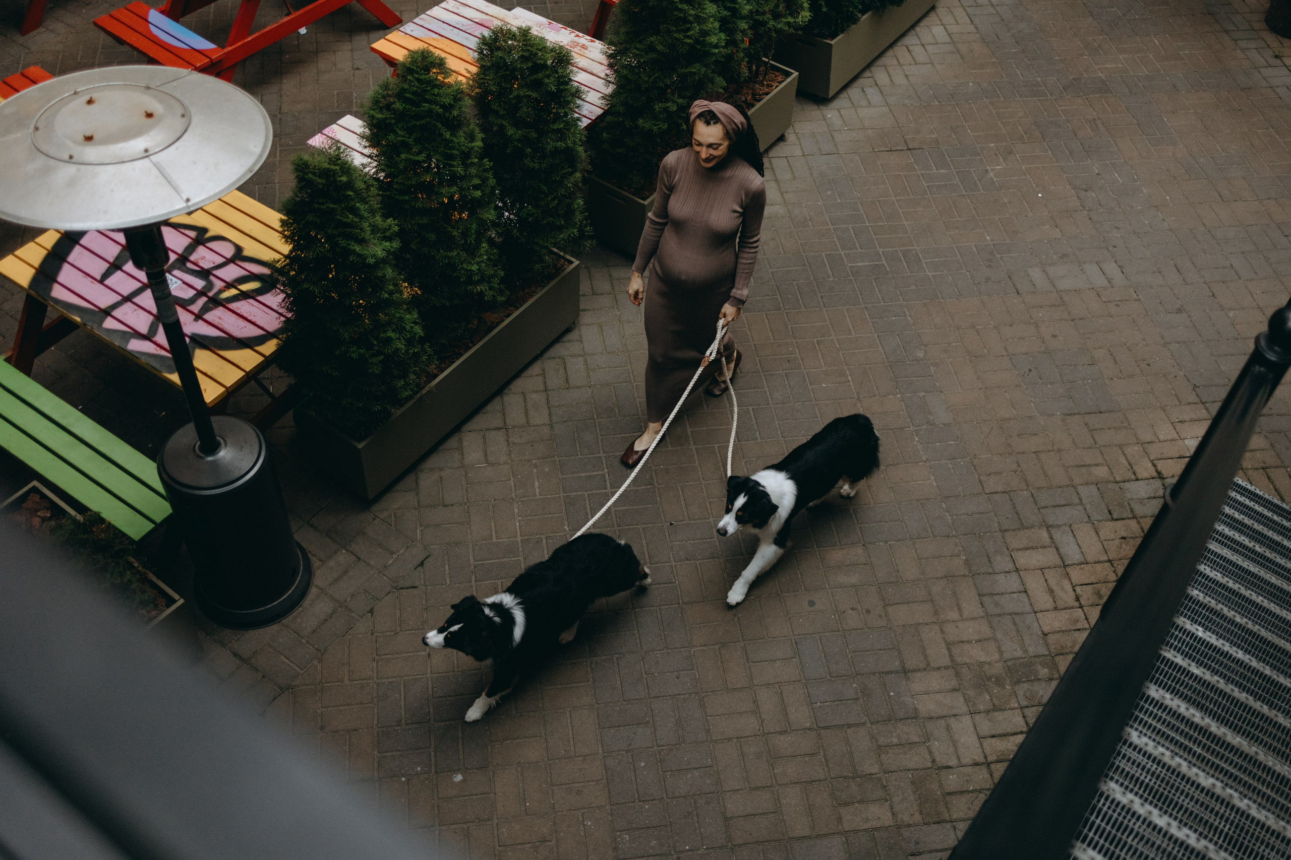 Катя и ее девочки. Фотограф — Анималист | Санкт-Петербург