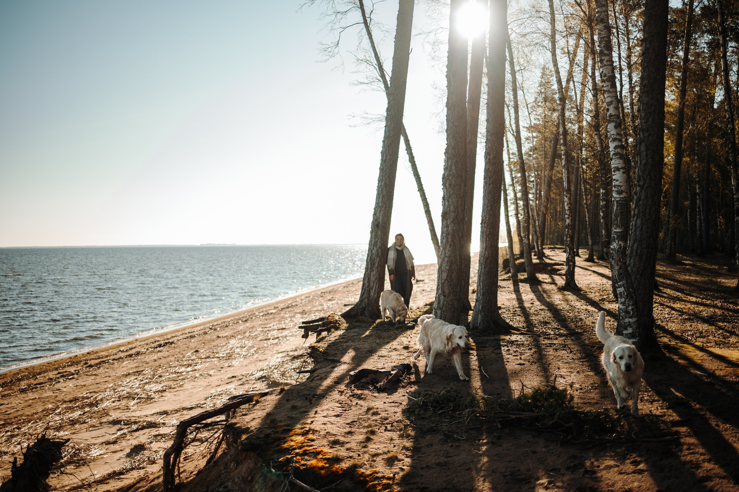 Катя и ее девочки. Фотограф — Анималист | Санкт-Петербург