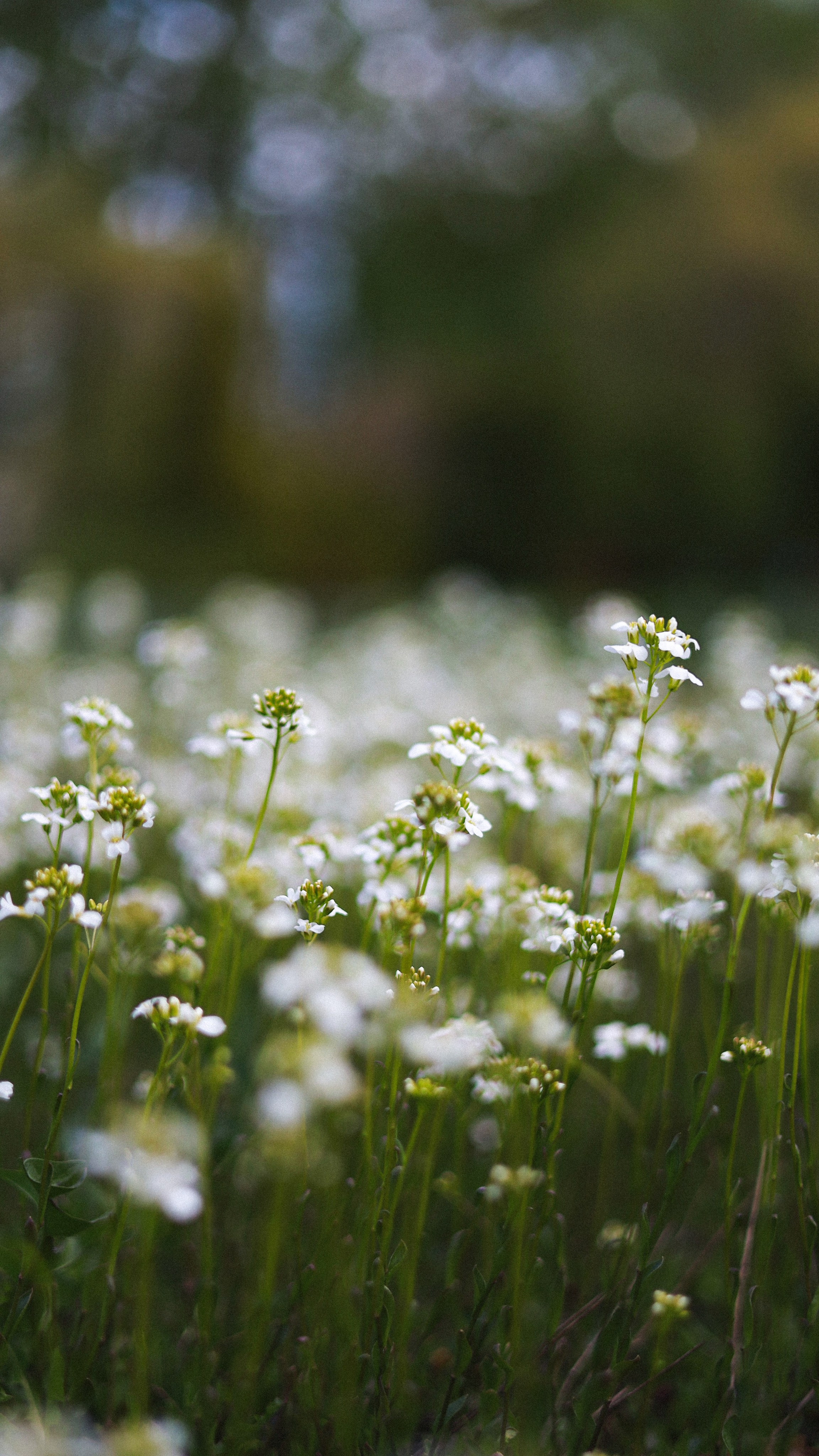 Все, что вокруг меня. Фотограф Евгения Ошкина, Саранск