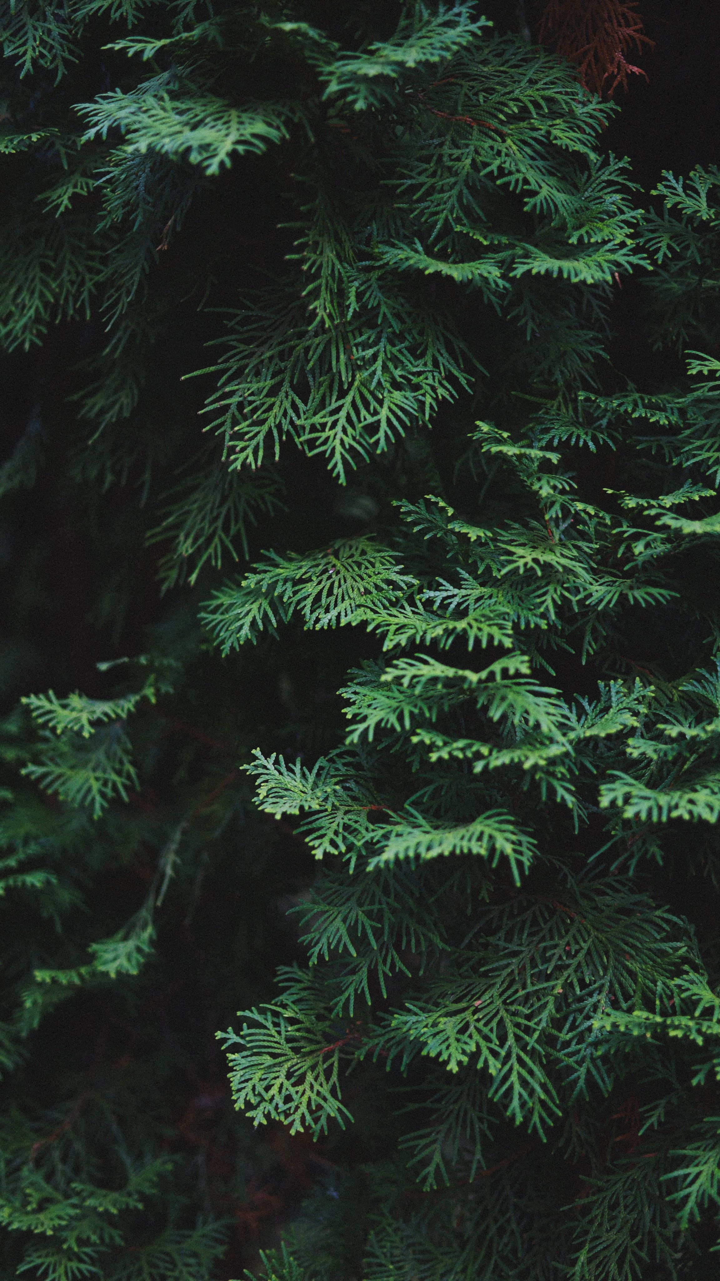 Все, что вокруг меня. Фотограф Евгения Ошкина, Саранск