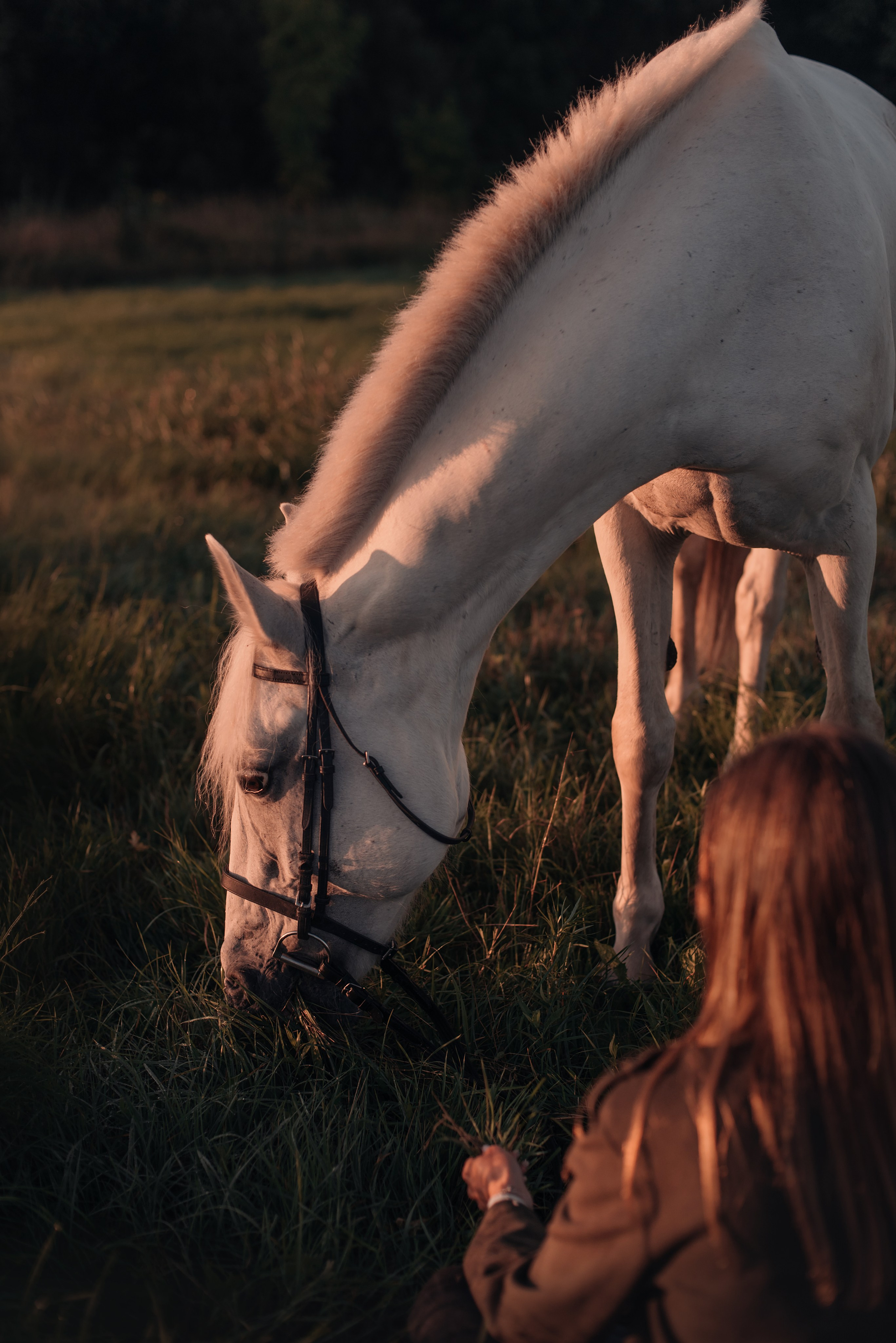 Конное: рассвет на поле с Лерой и Златой. Портфолио