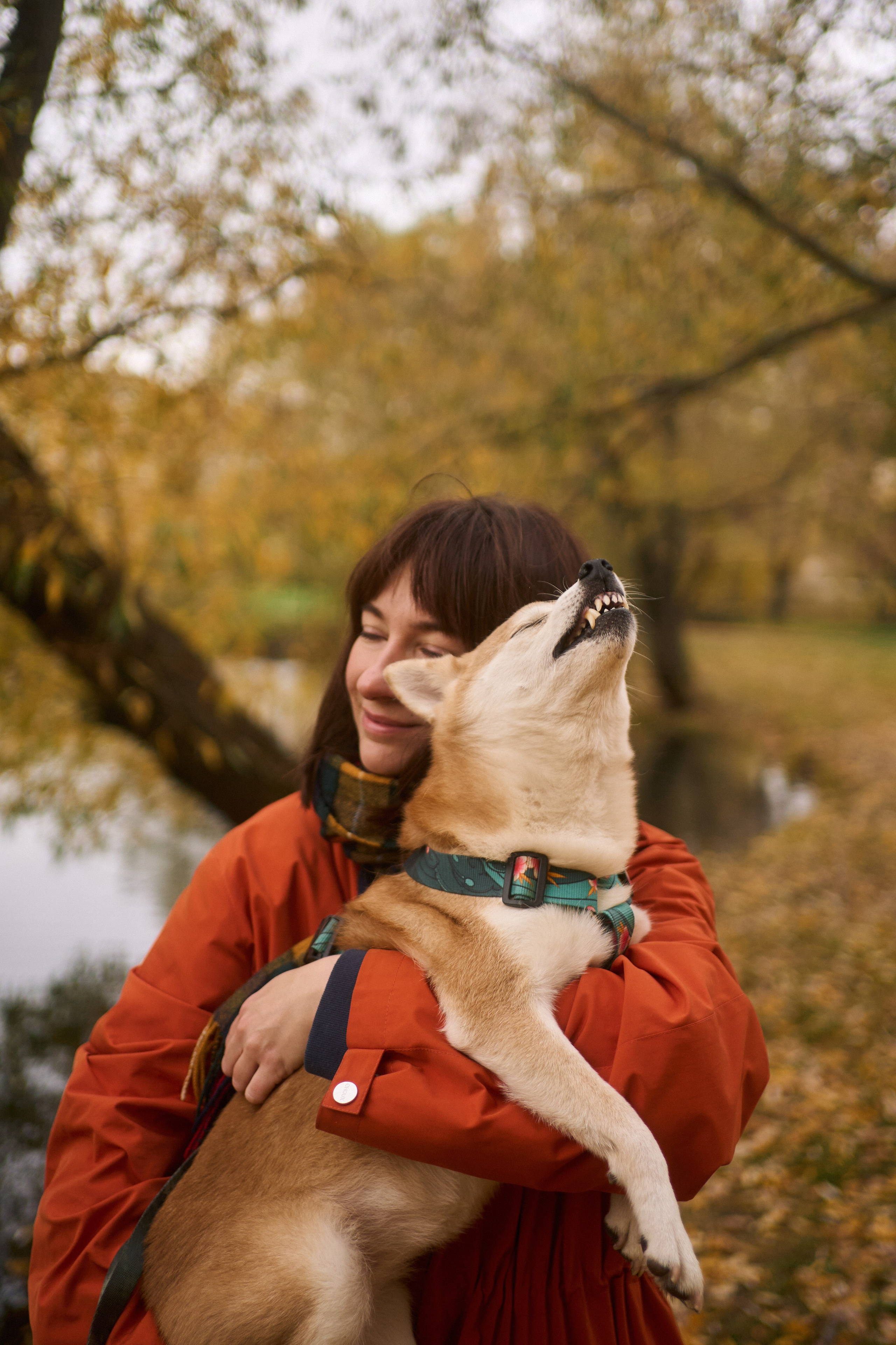 Осенние Уши. Фотограф анималист Москва Дарья