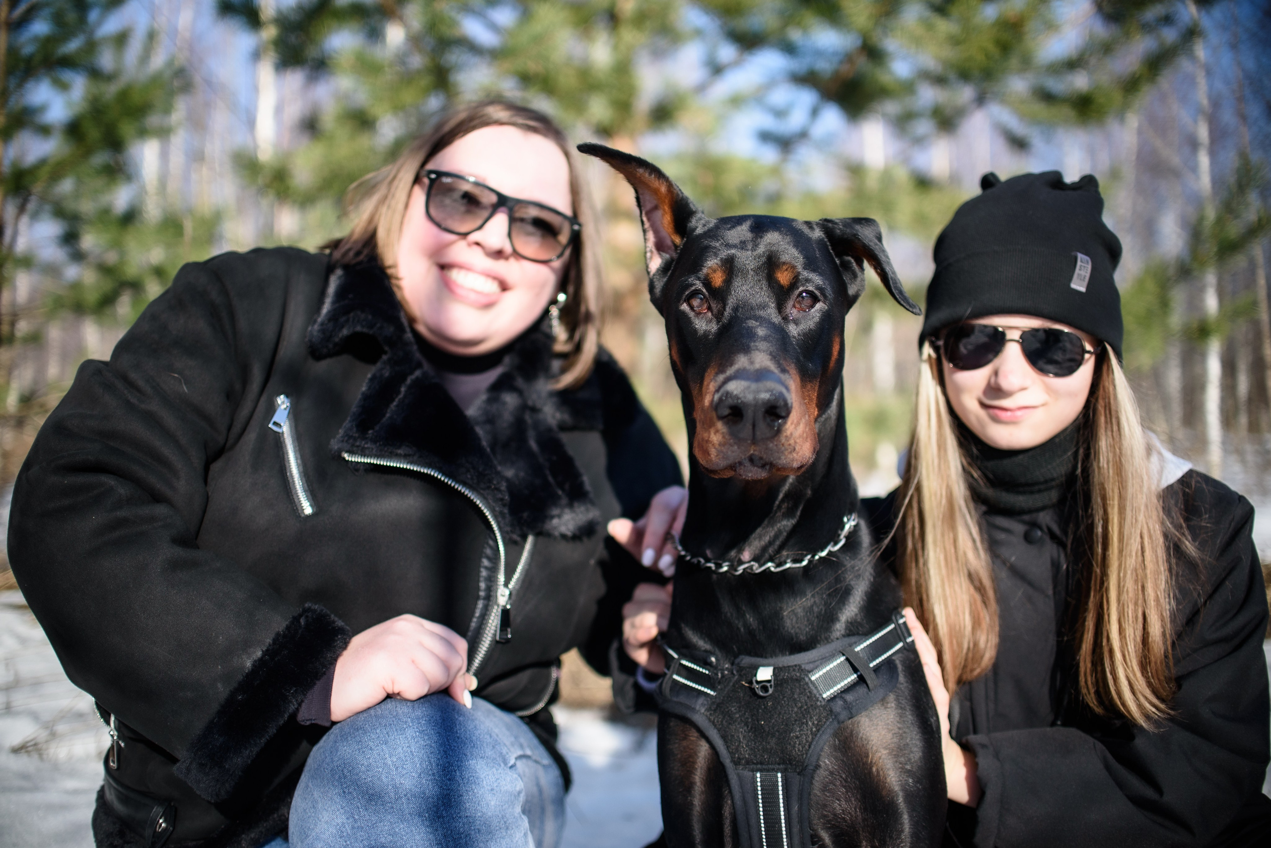 Фотосессию с любимым доберманом. Фотограф Макс Огурцов в Нижнем Новгороде