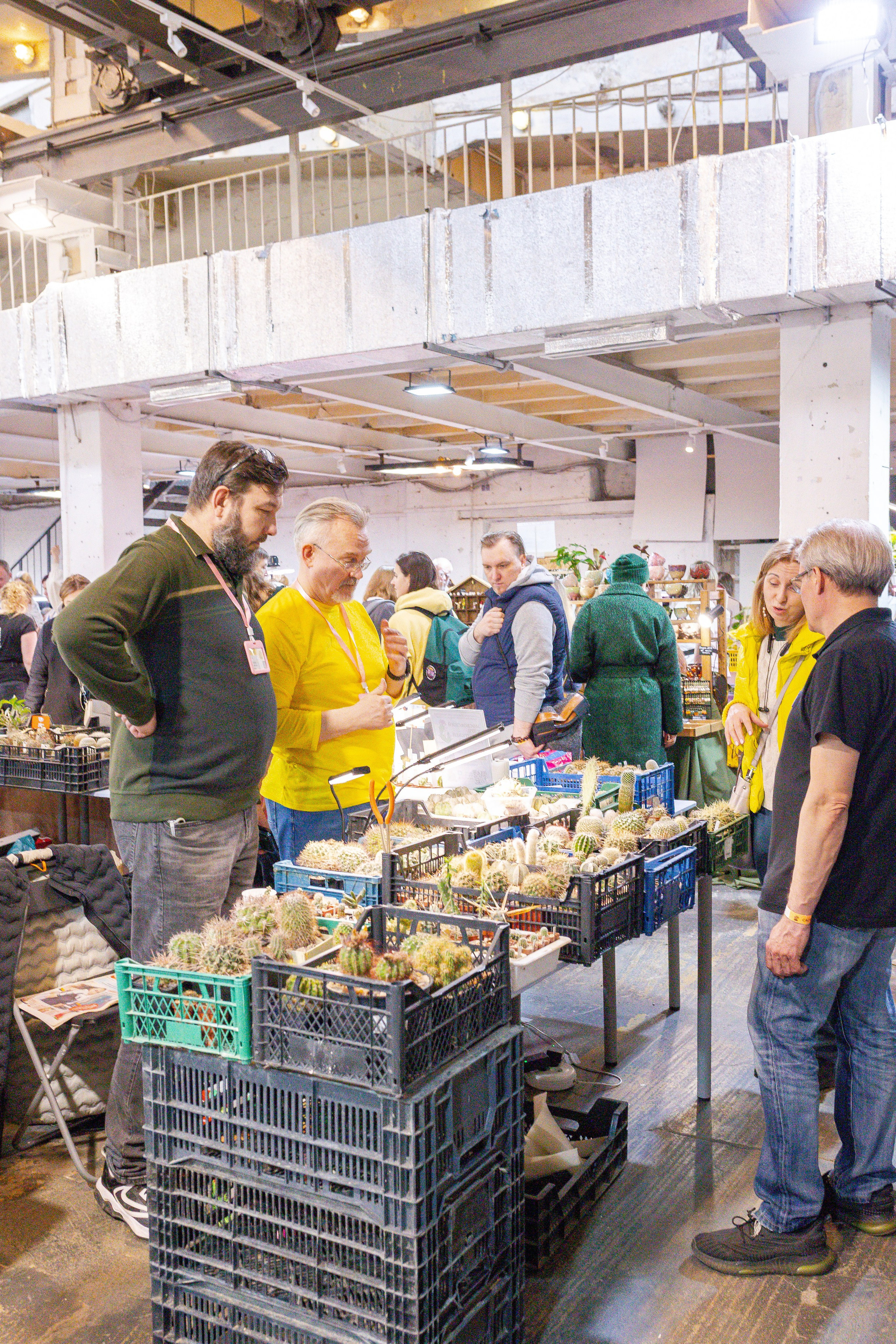 Кактус Фест. Александра Куликова фотограф, Москва