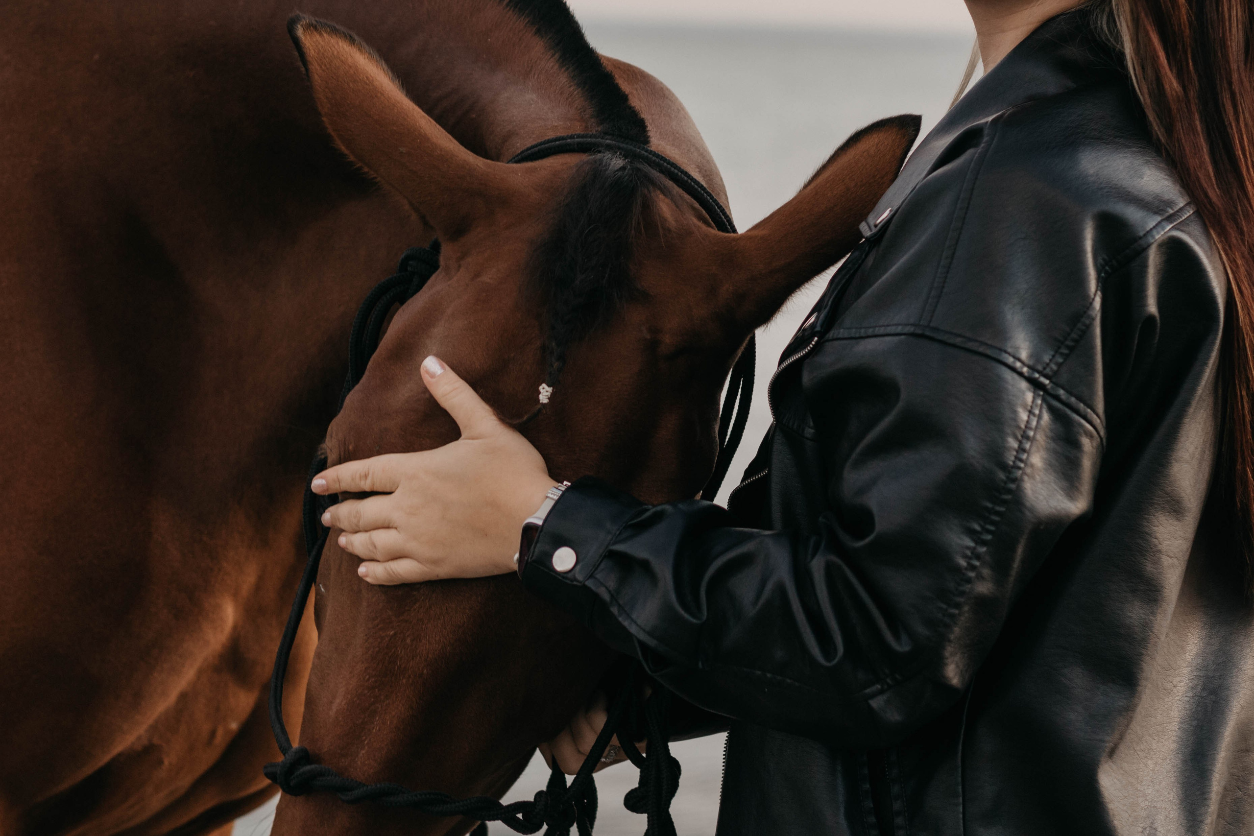 Конная фотосессия. Фотограф Новосибирск Алина Клименкова