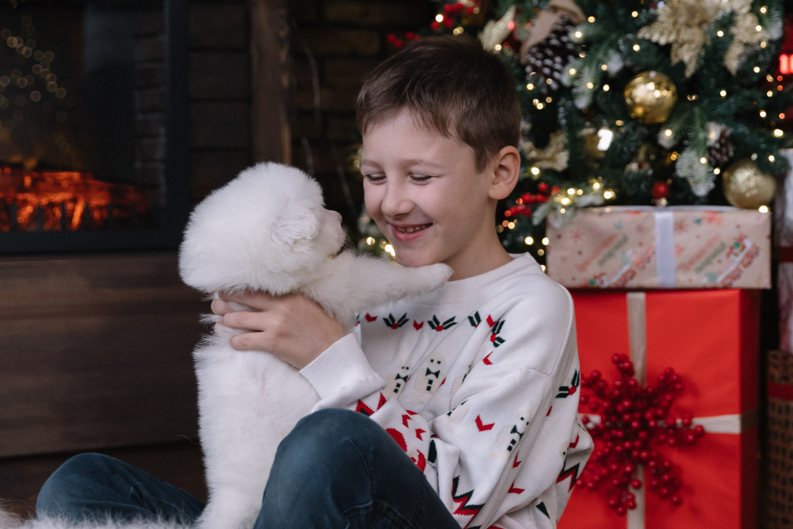 фотоссамоедами