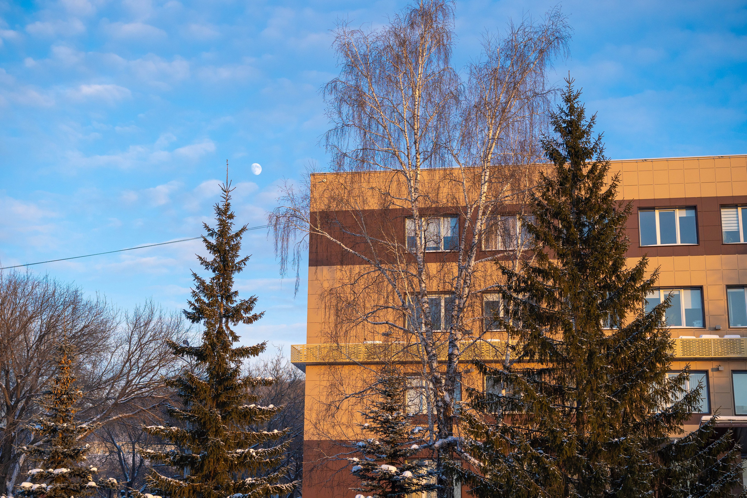 Миасс 24 — 25г. Главная