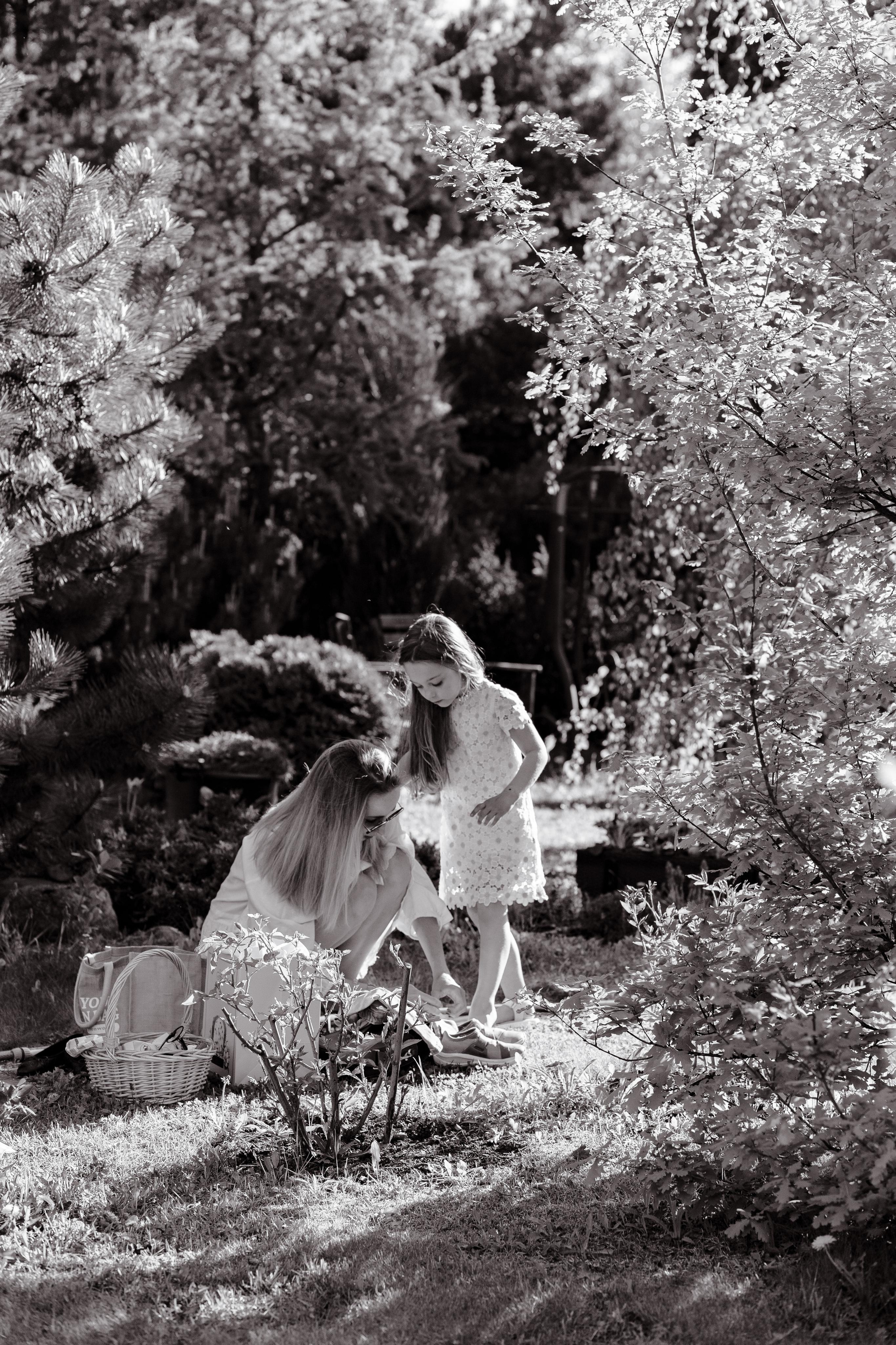 Apple trees in bloom. Home