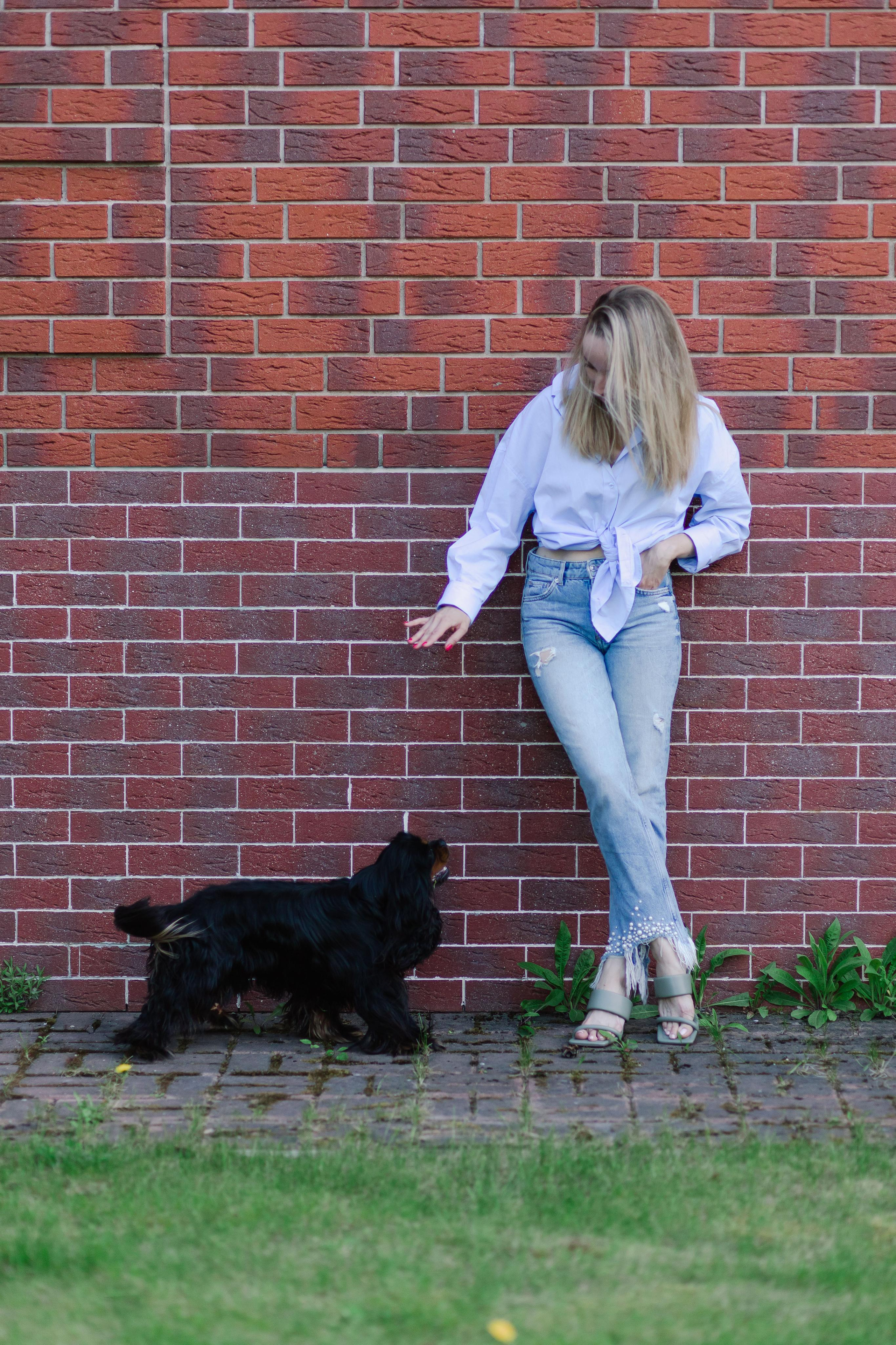 Apple trees in bloom. Home