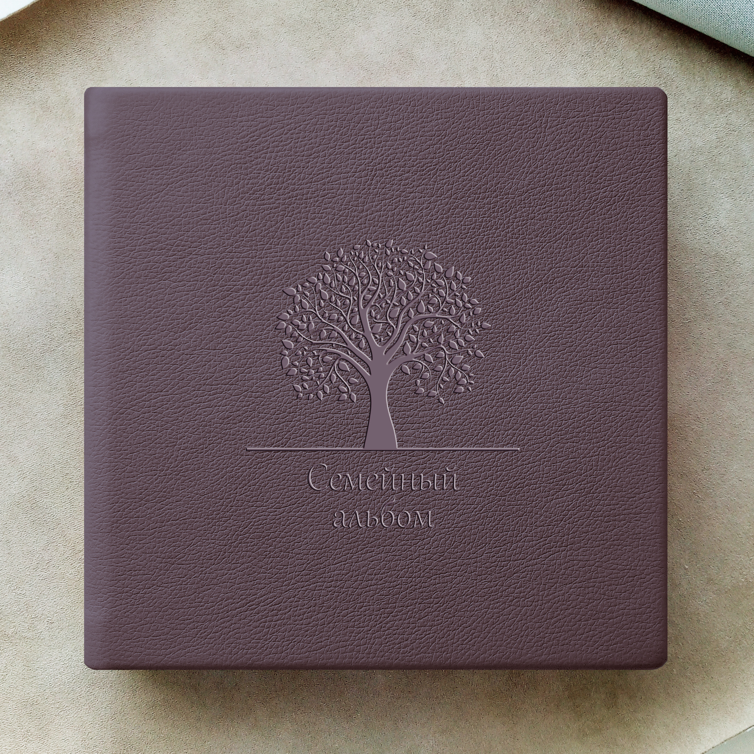 Тиснение. Семейный и детский домашний фотограф в Тольятти Юлия Вахромова