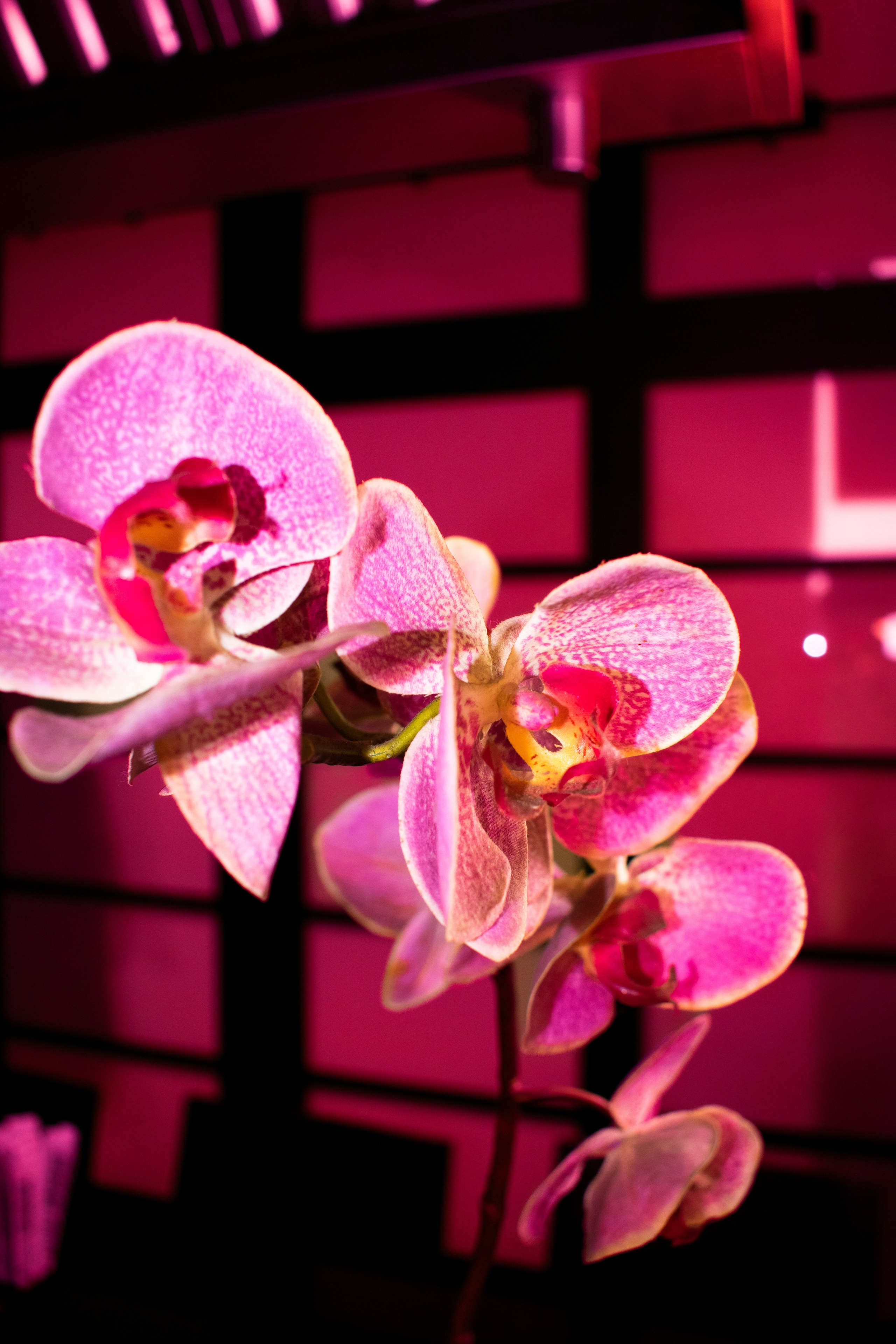 Фотограф/видеограф Богдан Голованов