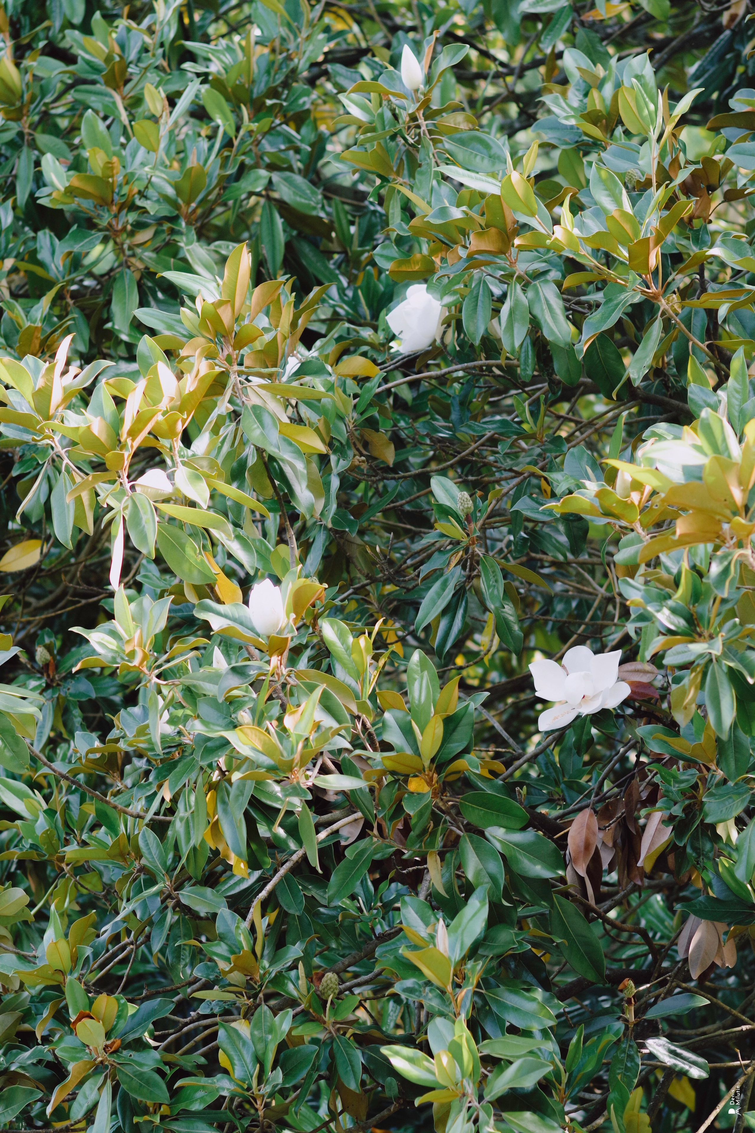 В отпуске с Артёмом. Портретный фотограф Денис Милютин