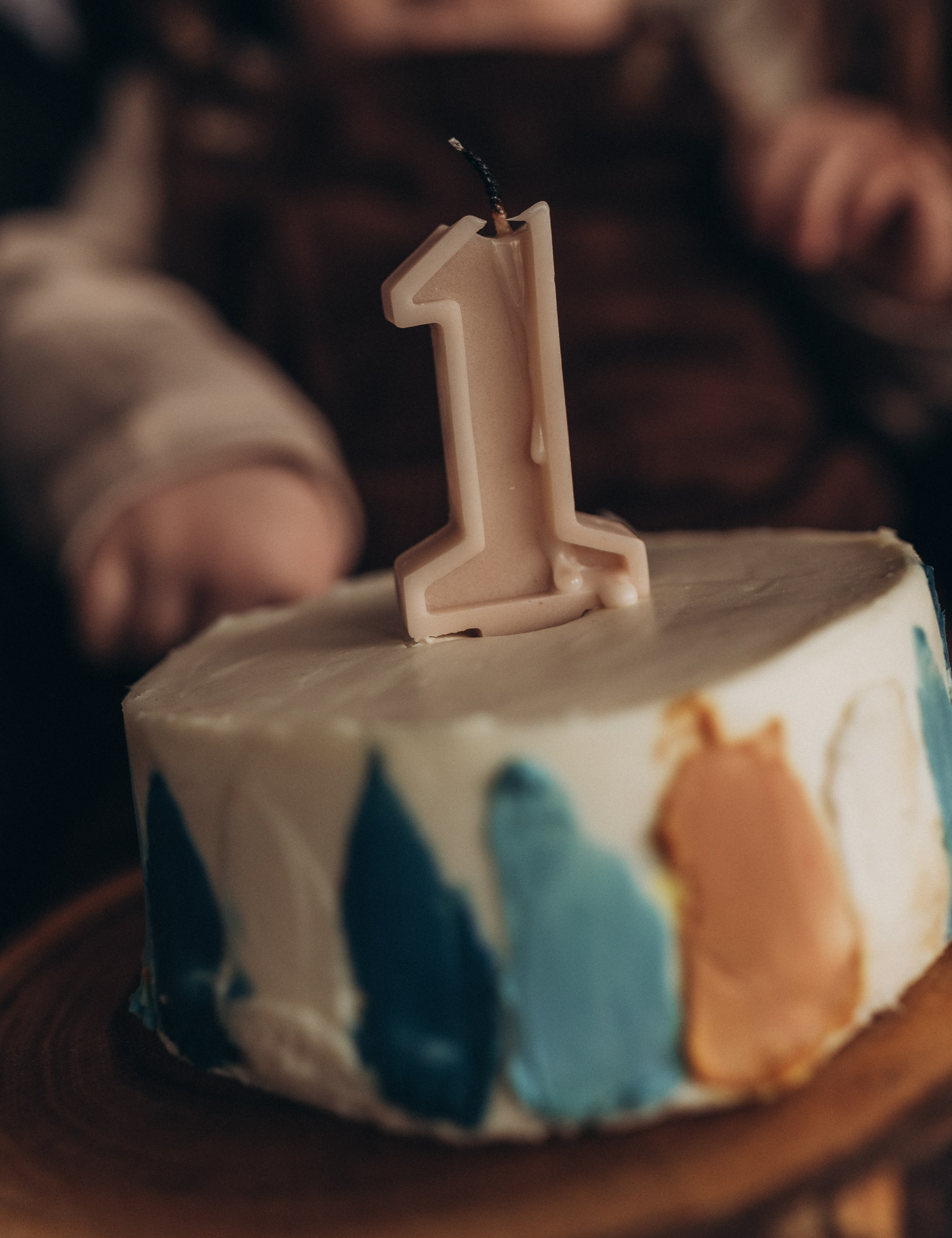 Максиму 1 годик. Семейный фотограф Юлия Власова