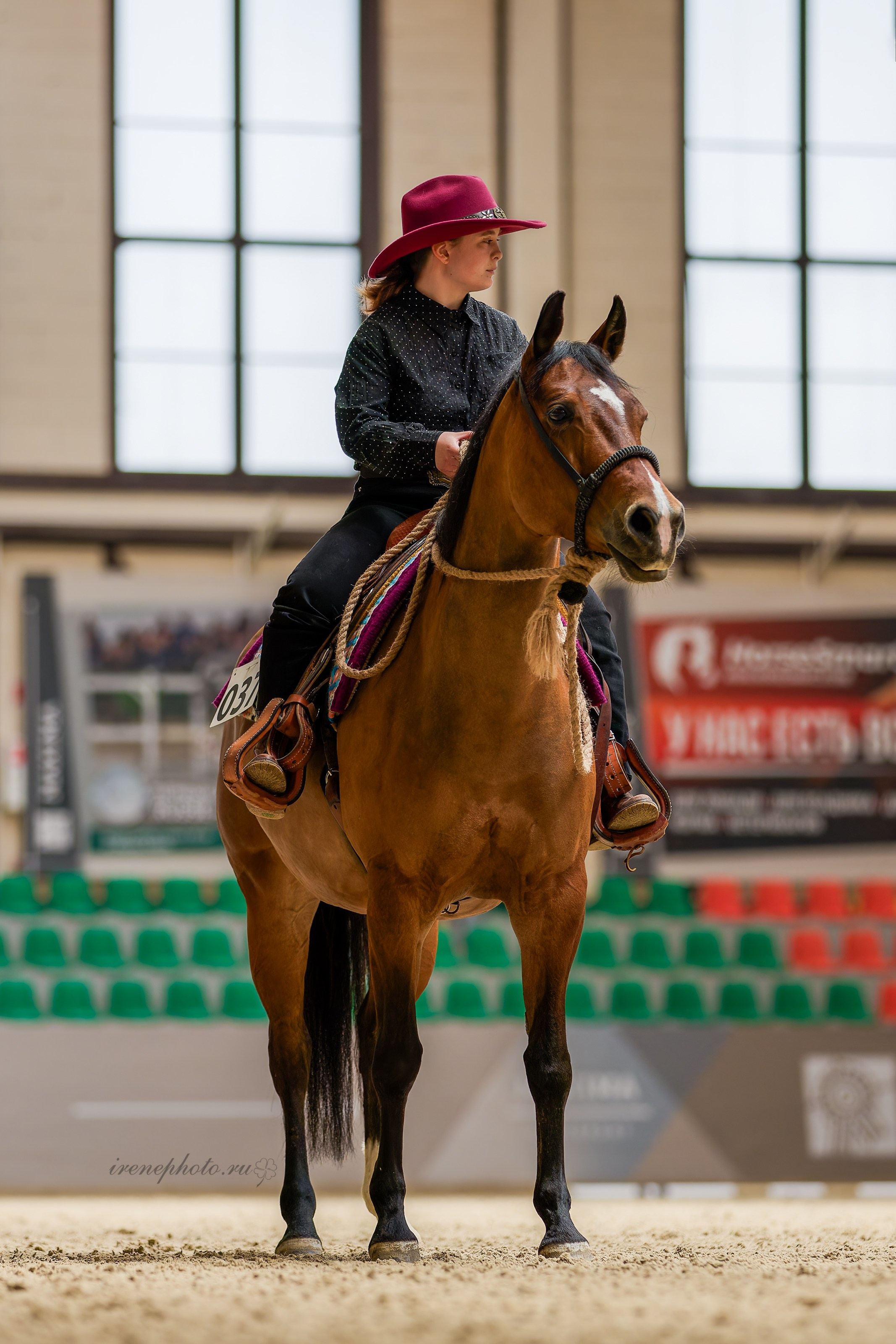 Конная Весна 2026. Irenephoto.ru