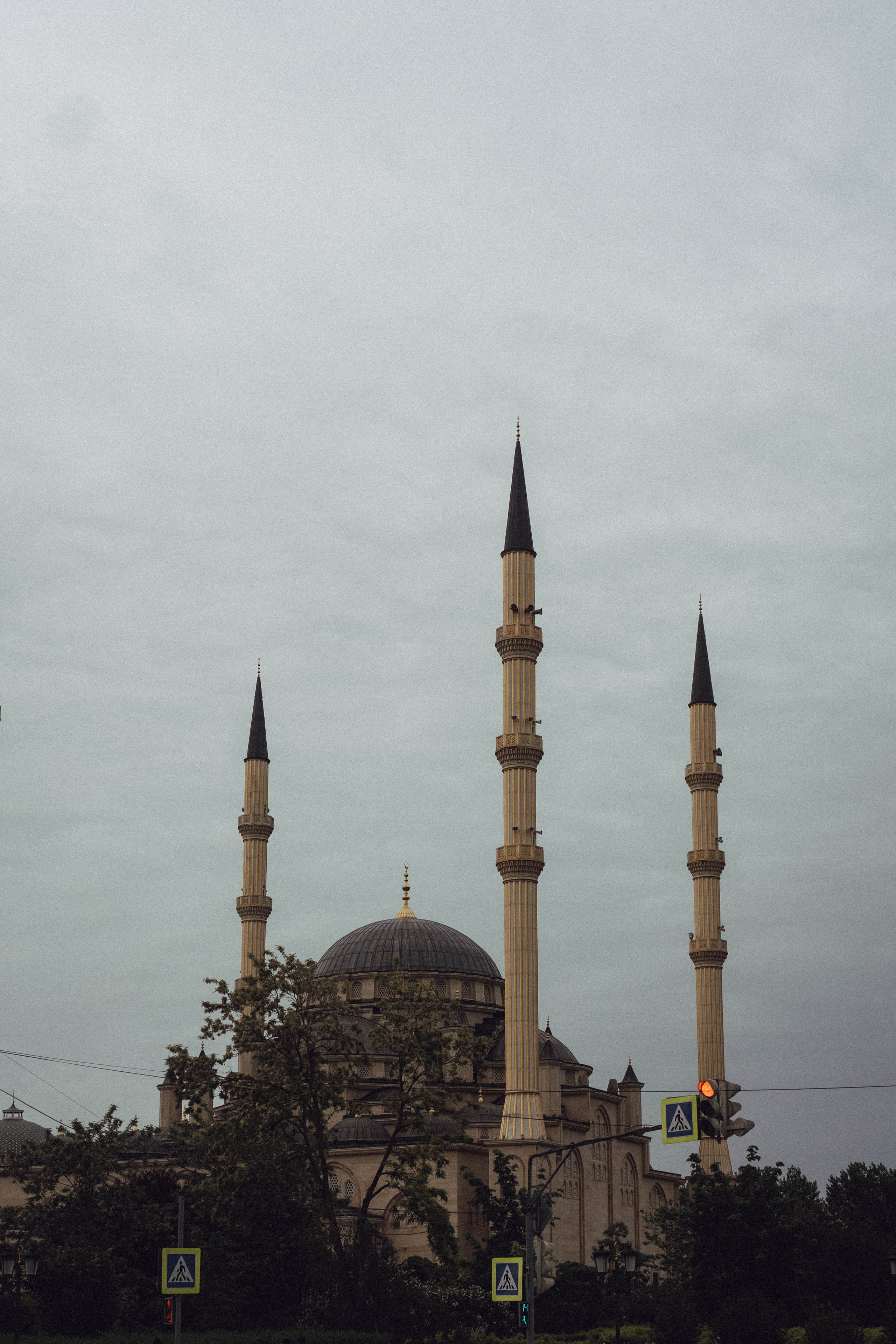 Кавказ. Профессиональный фотограф, Санкт-Петербург — Виктория Богомолова