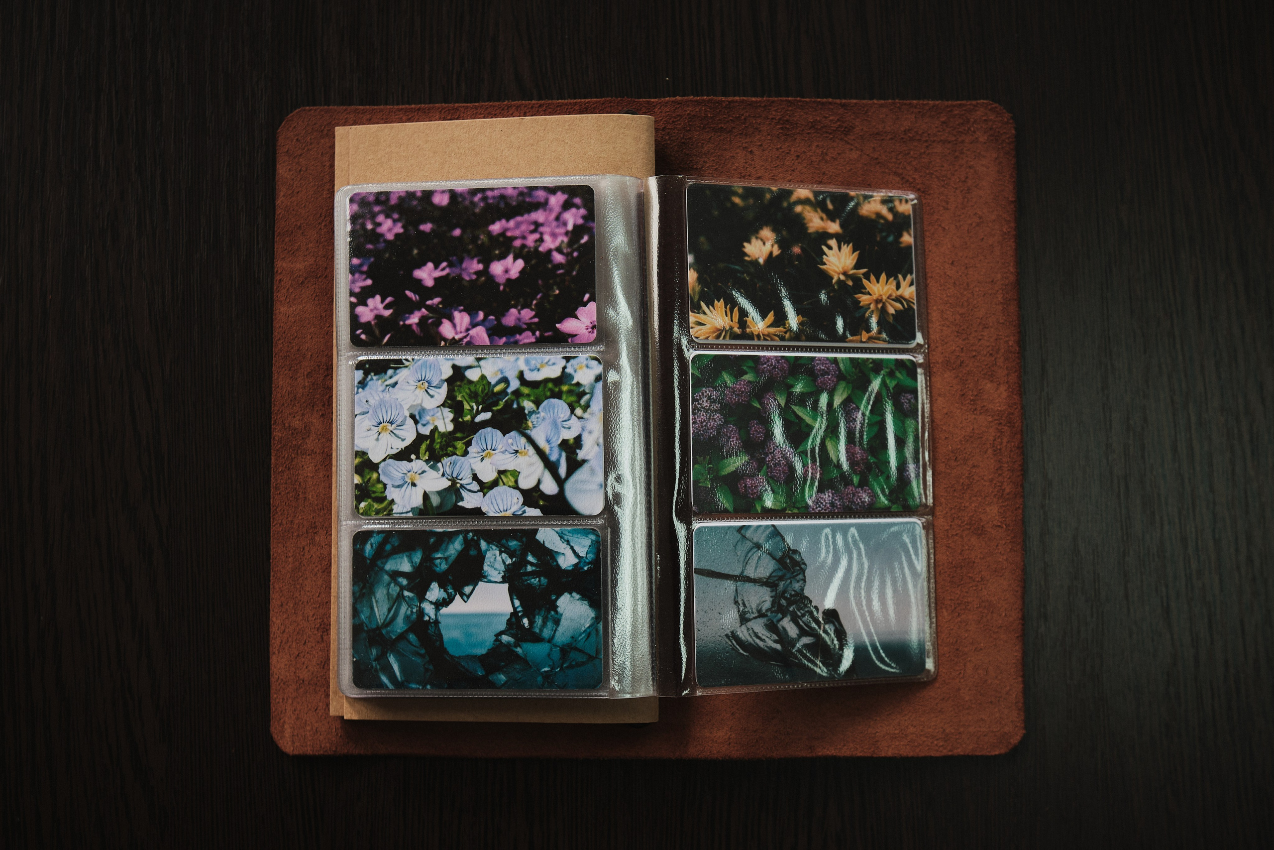 Дневник путешественника. KIMESTHETICA