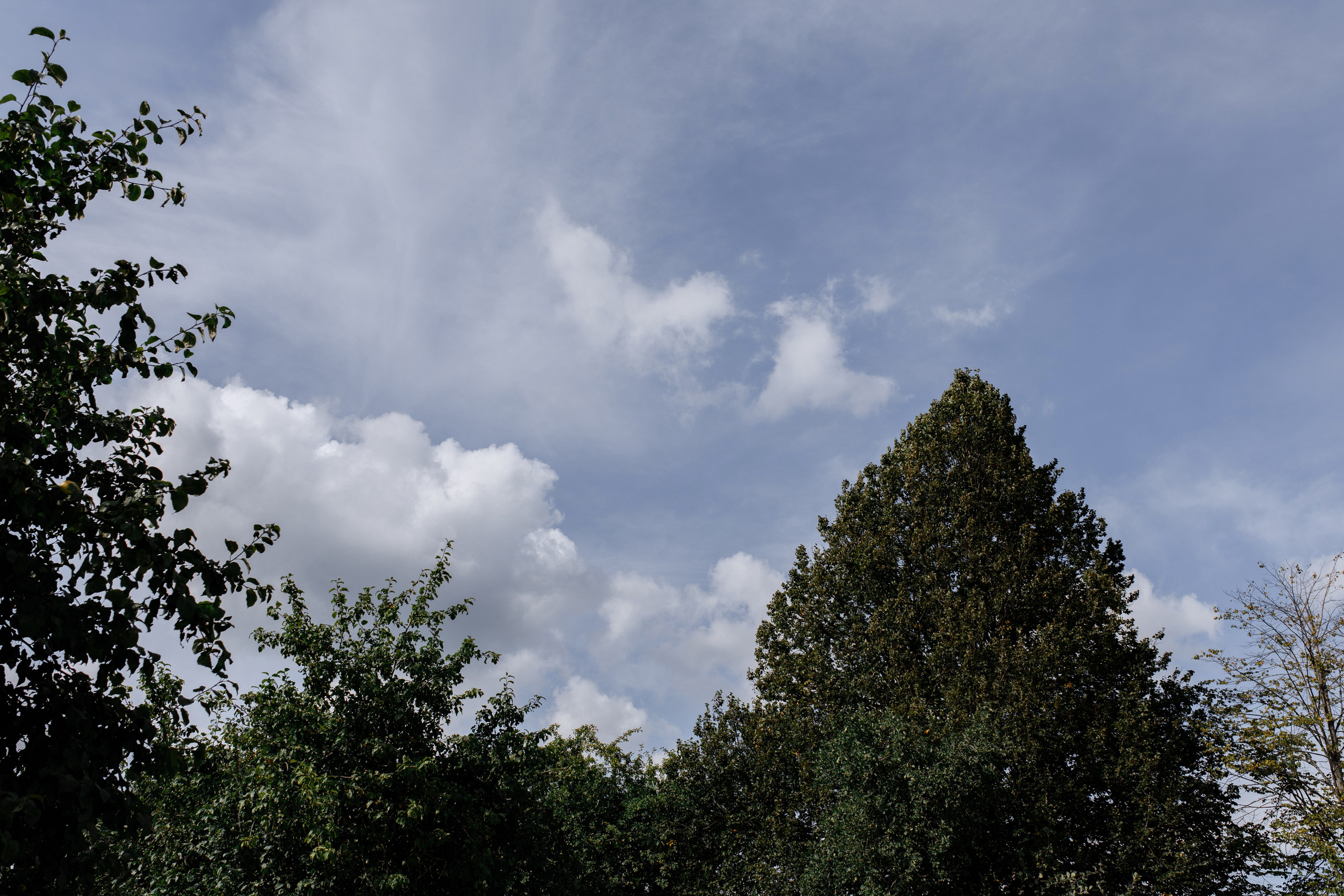 Алексей и Мария. Свадебный фотограф Витебск Минск
