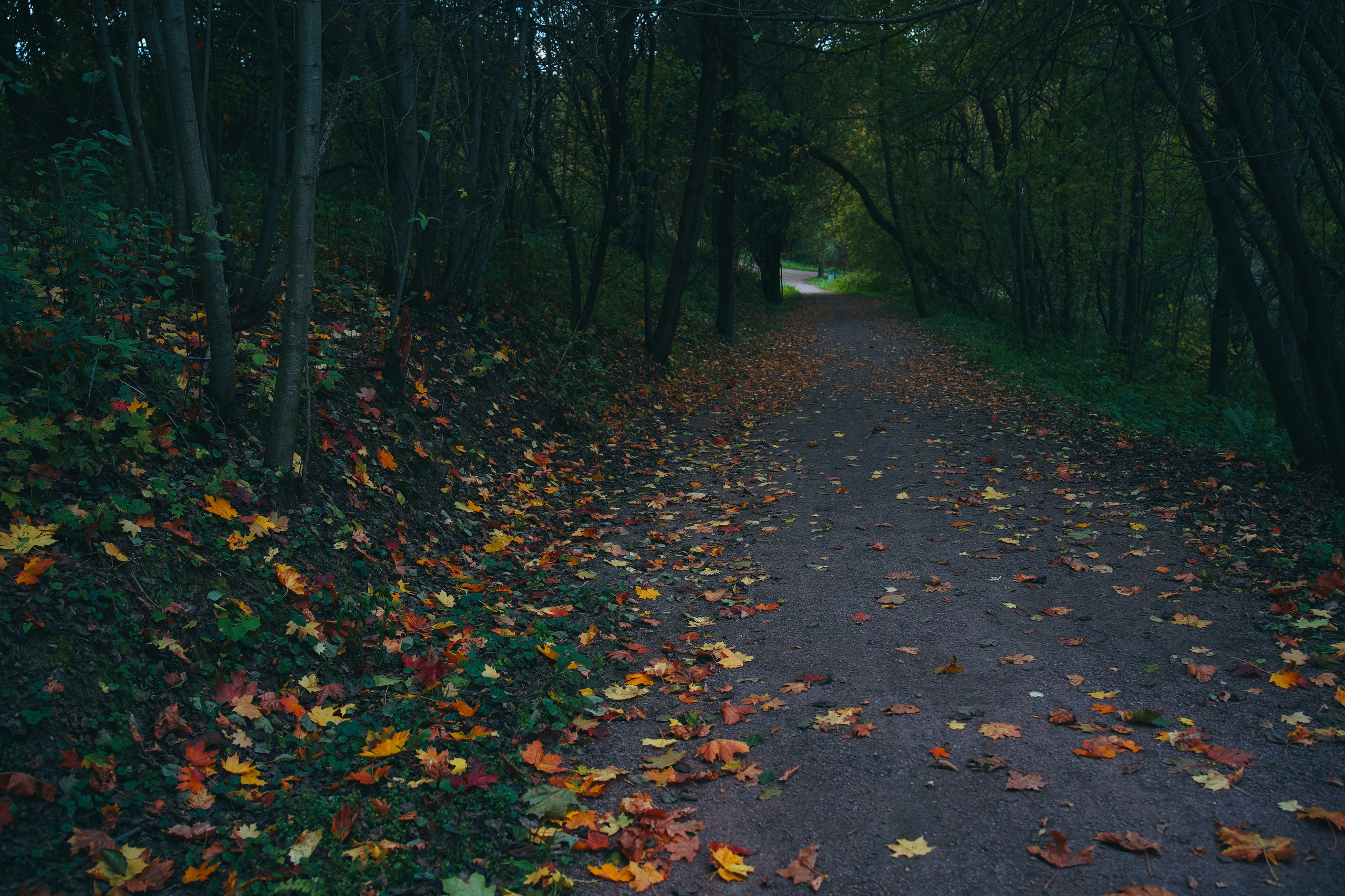 Осень 2025. Фотограф из Москвы — DASHA NOVA | Авторская фотография в разных жанрах