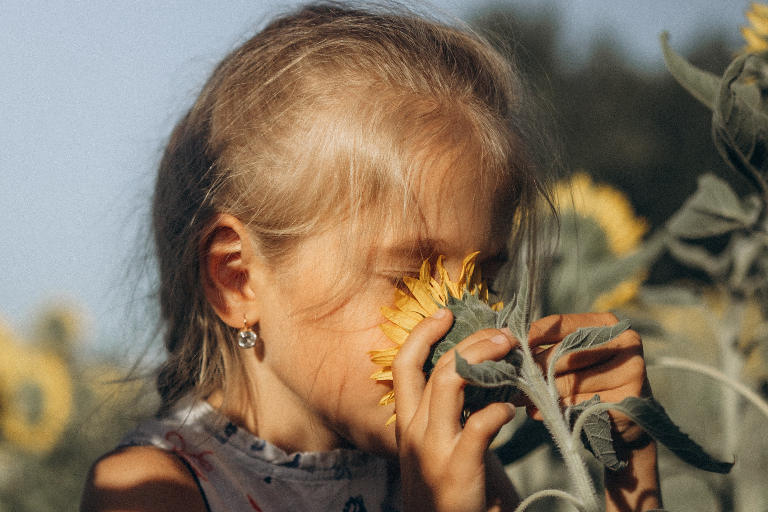 Дети и подсолнухи. Семейный фотограф lifestyle в Новосибирске Елена Шпилевая