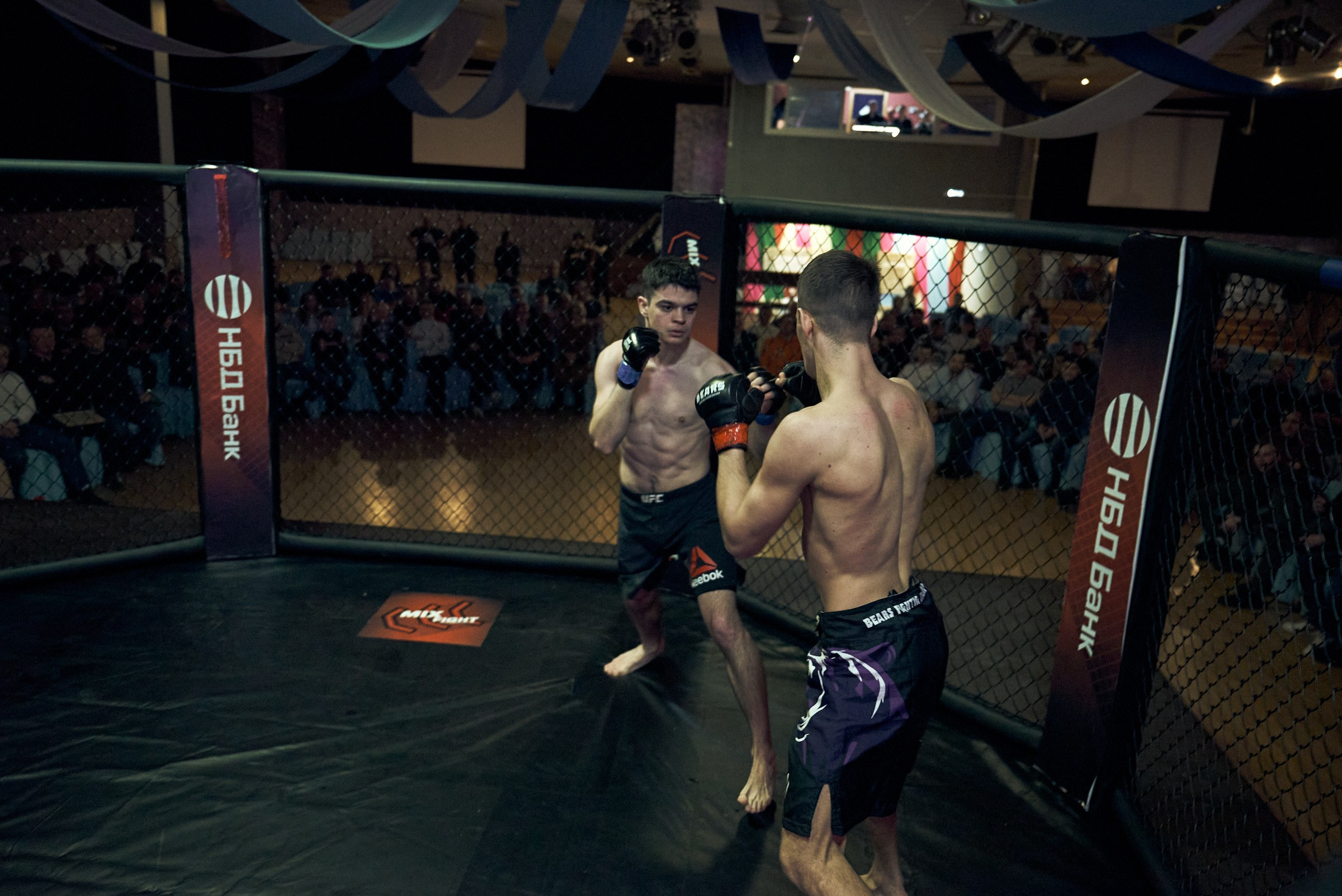 Бои. Маляревич Дмитрий свадебный фотограф