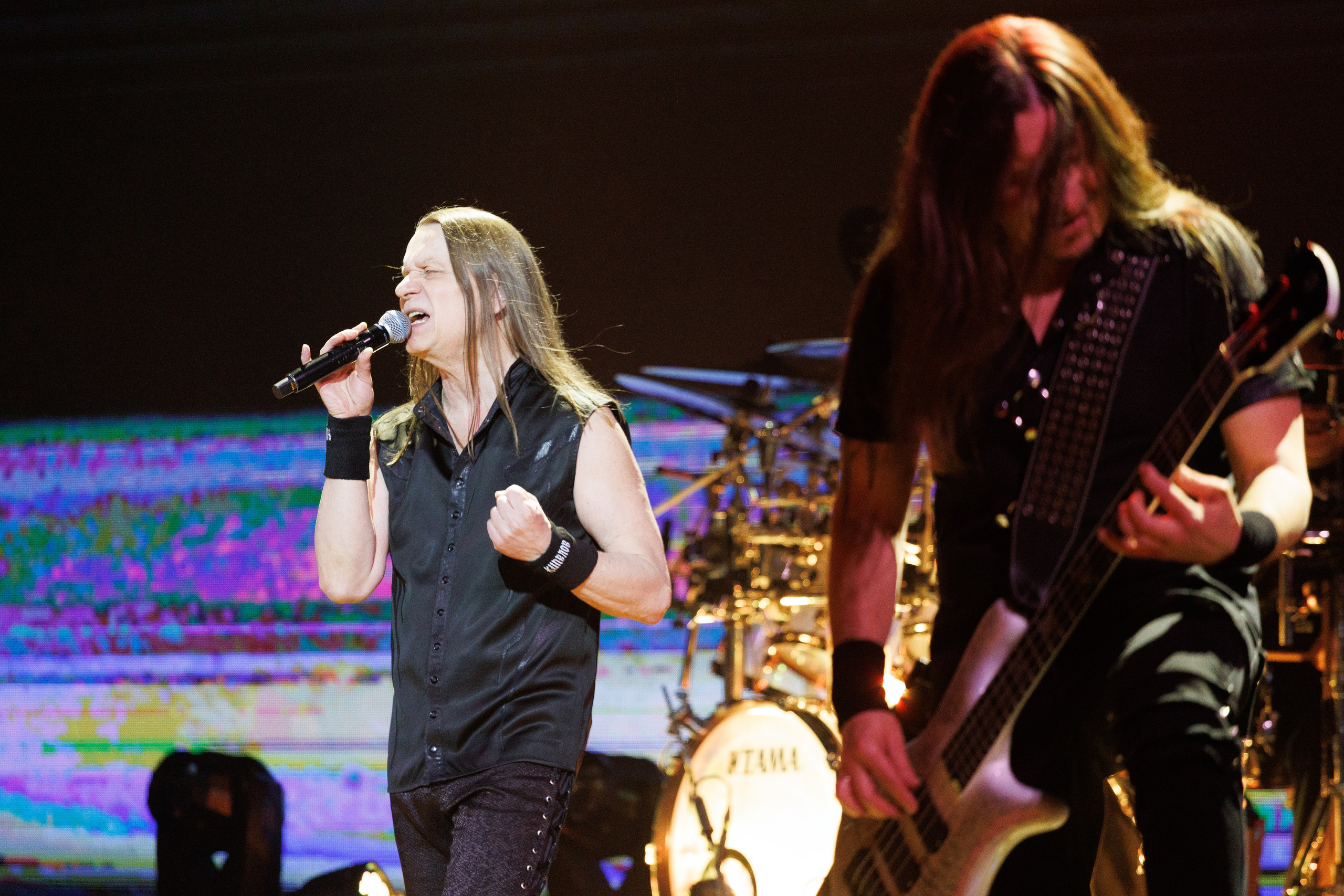 «КИПЕЛОВ». Photomantis