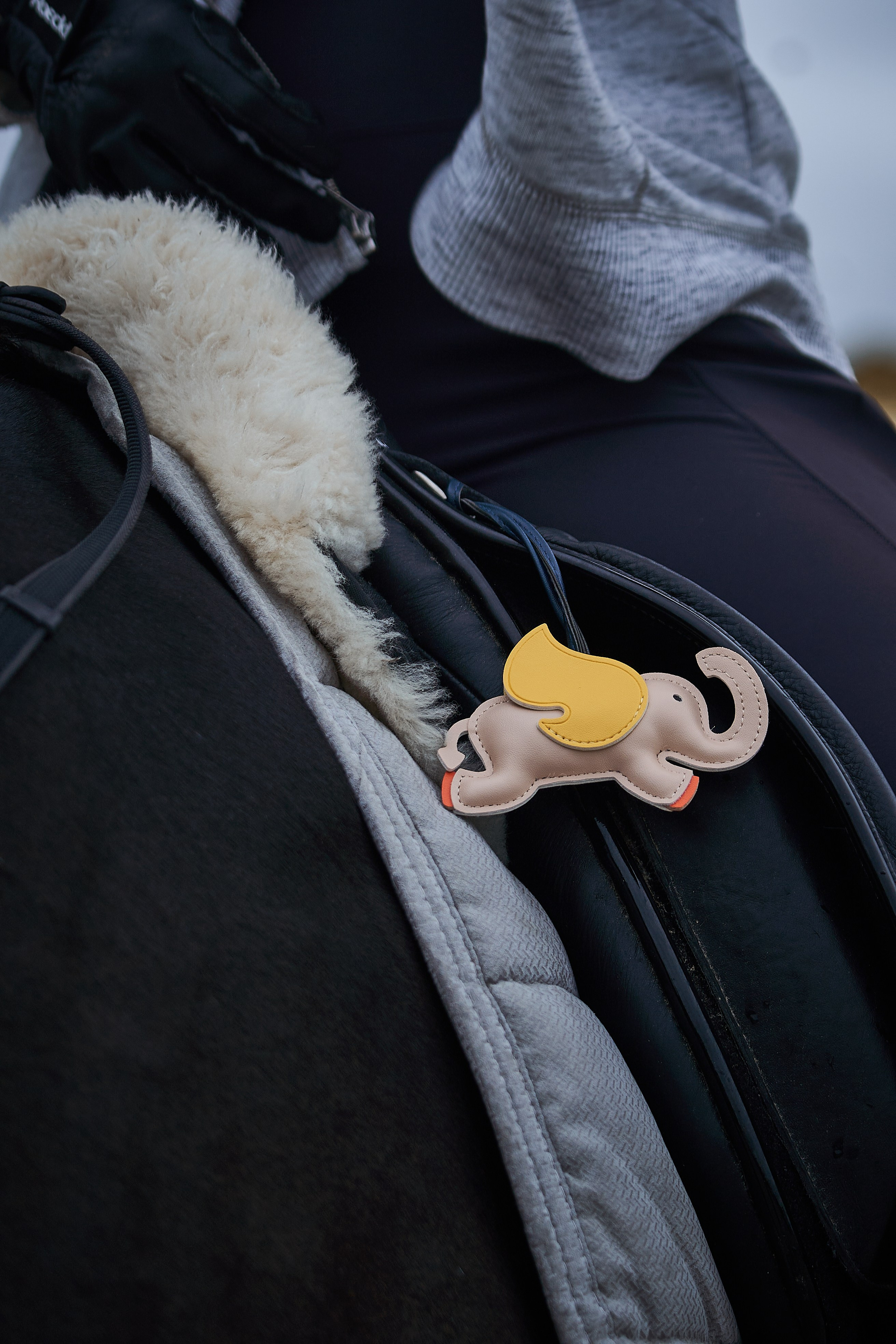 Анна и Наполи. Фотосессии с лошадьми в Москве, Новосибирске