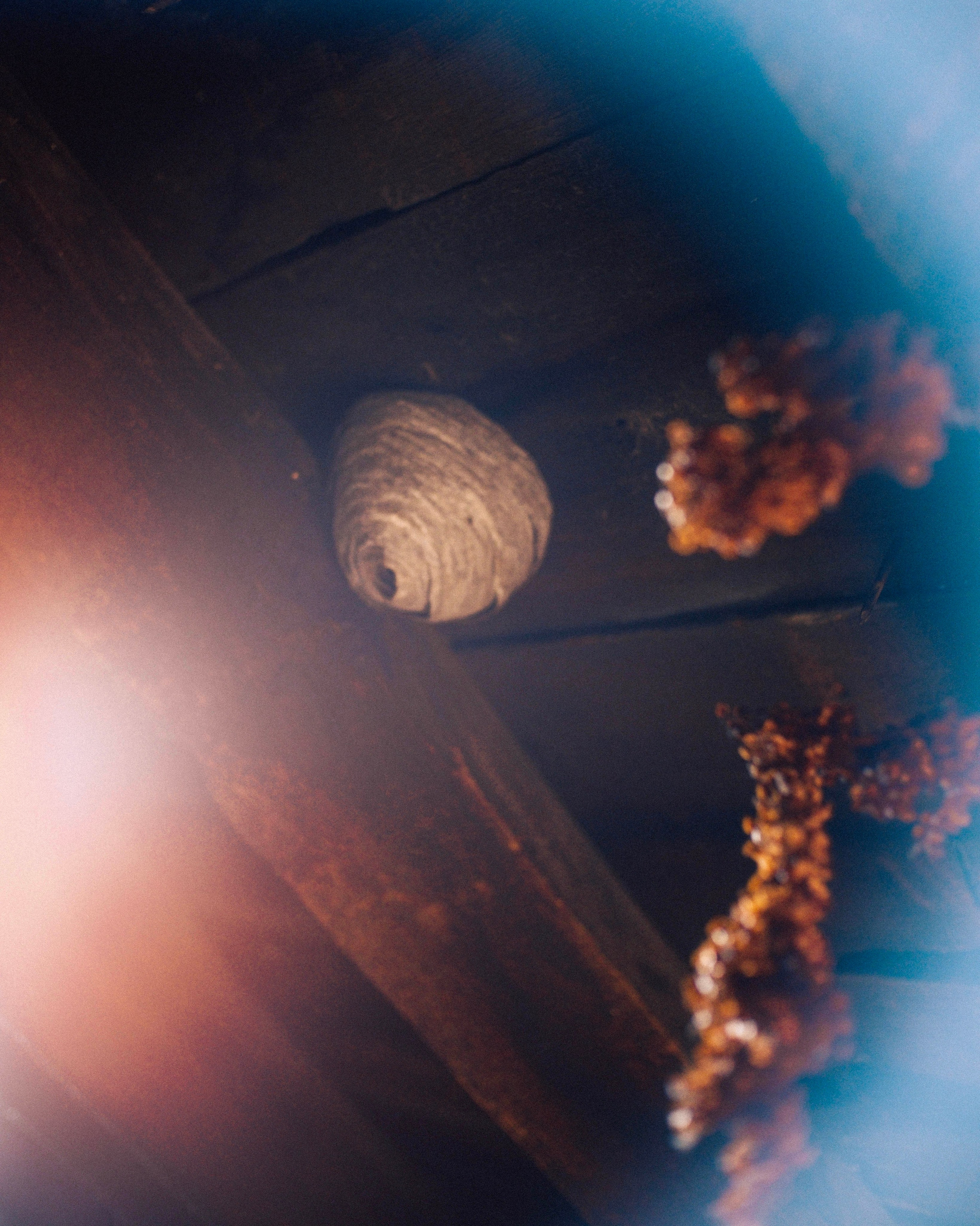 Хакасия. Фотограф из Хакасии Элина Кичеева