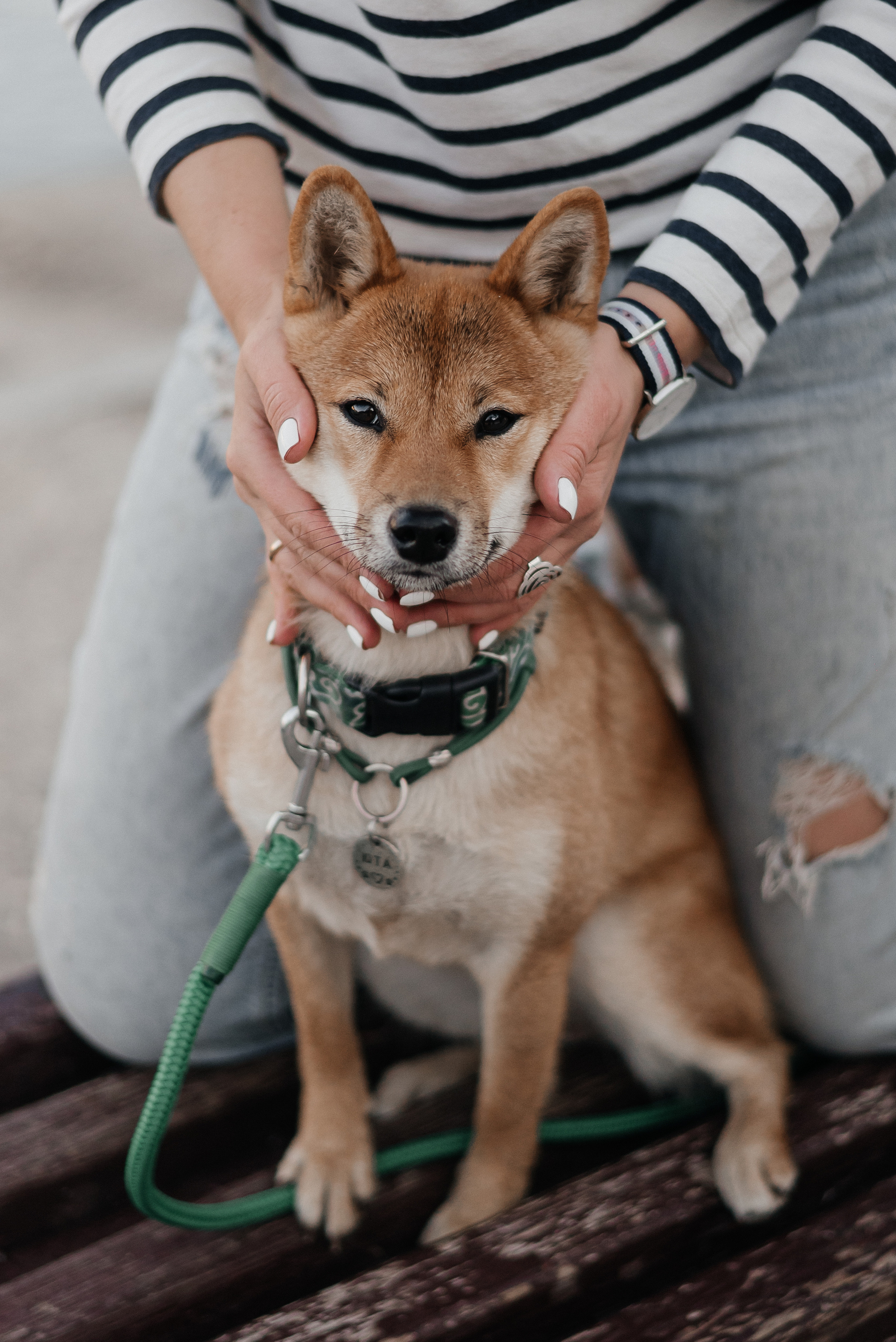 Сергей, Лера, Юта. Фотограф Москва
