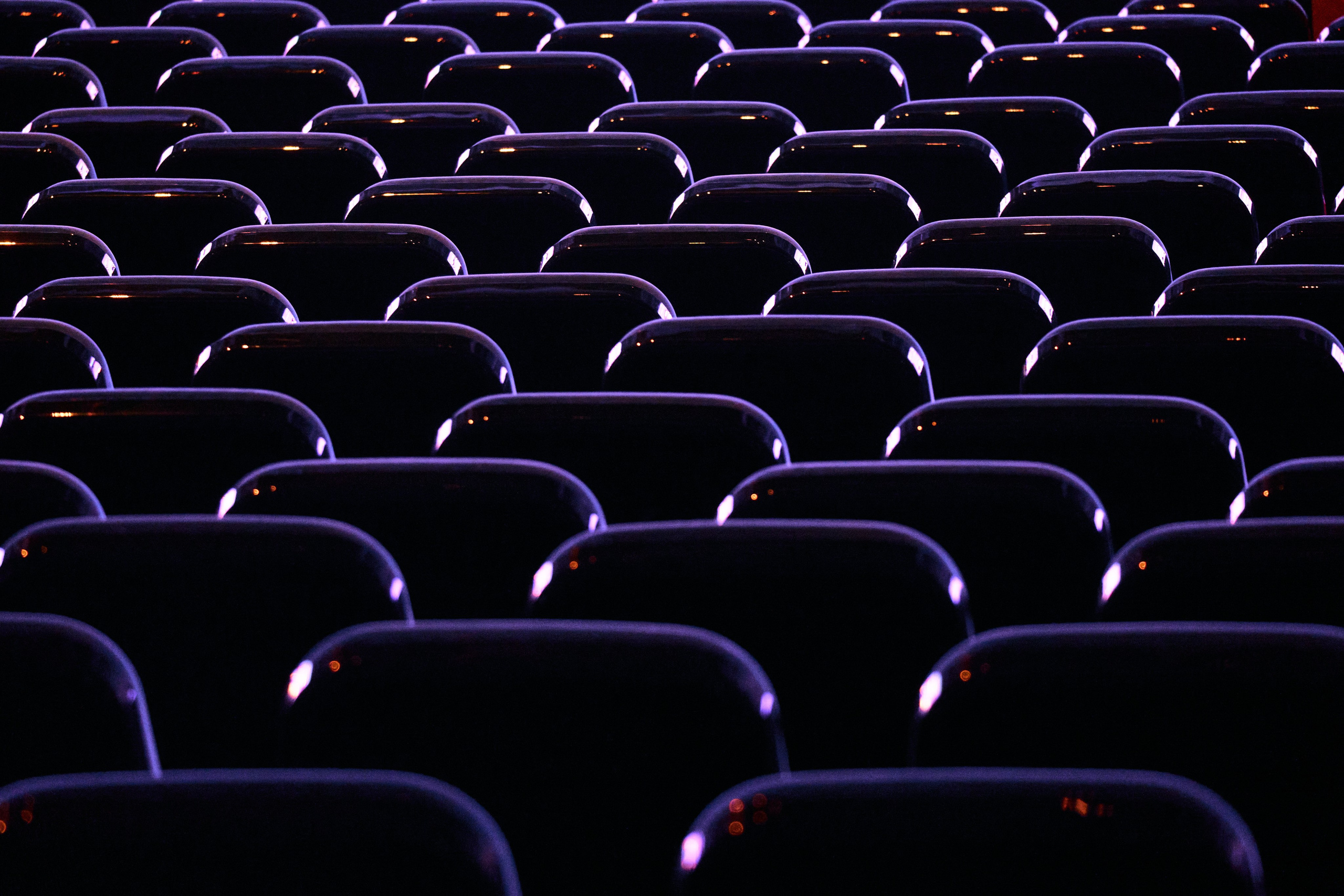 BetBoomDacha. See the moment and catche. commercial and reportage