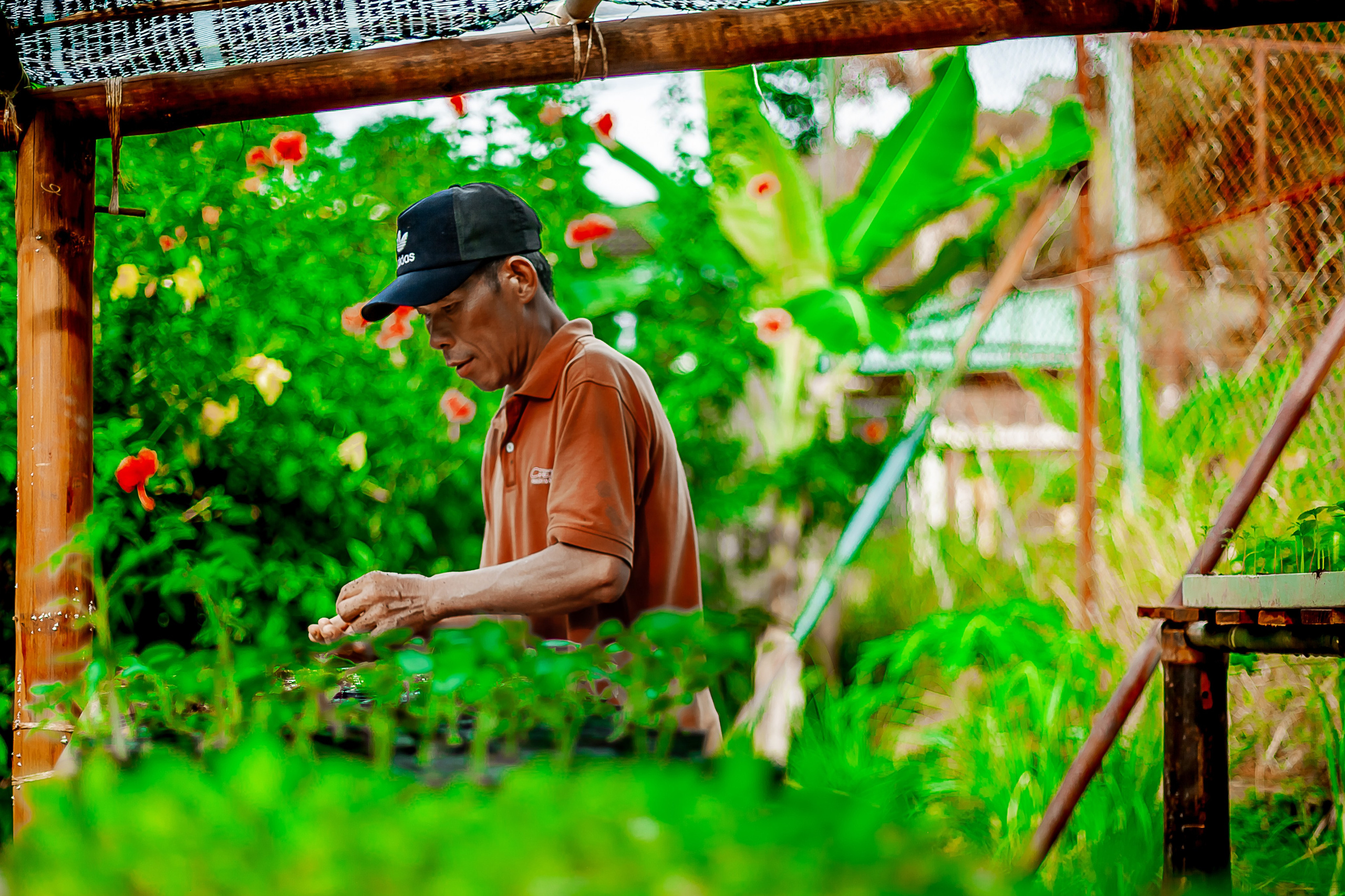 Репортажный фотограф Ялта. Репортажный фотограф Ялта