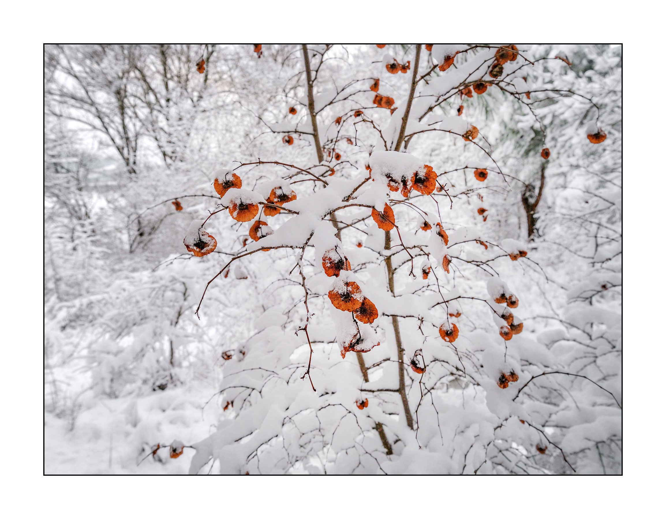 фотограф Геленджик