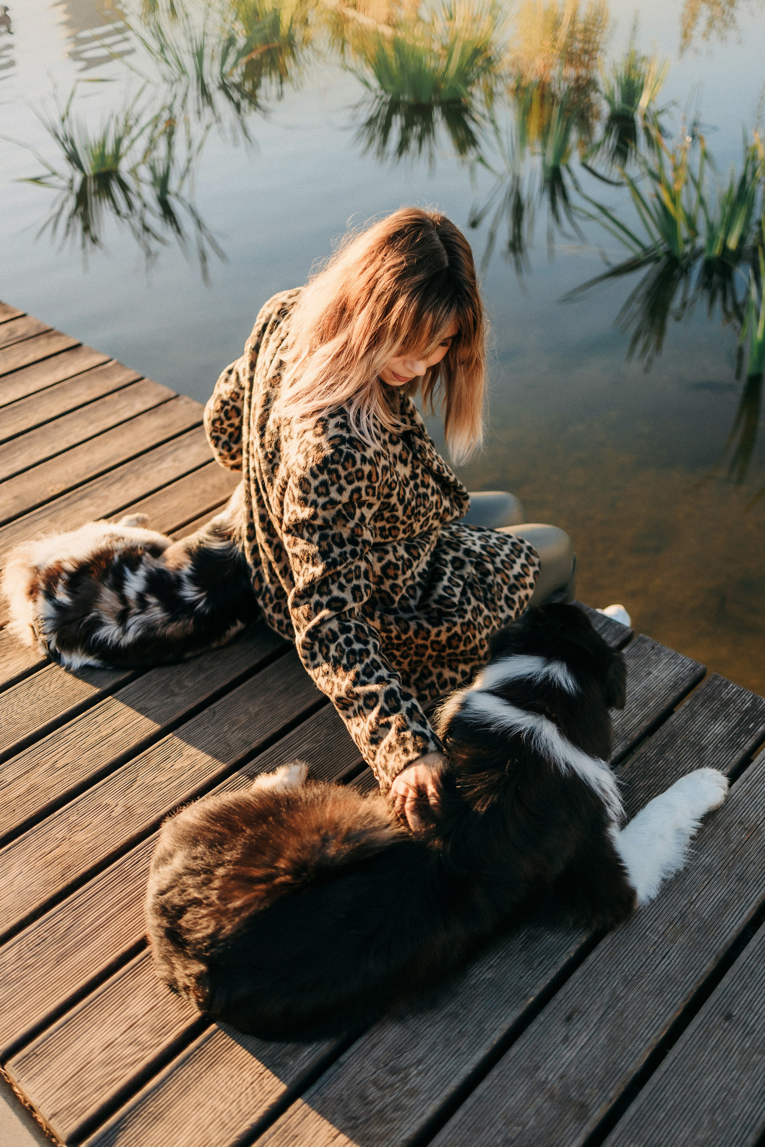 Аня, Чарли и Ева. Фотограф-анималист Елена Радченко, Москва