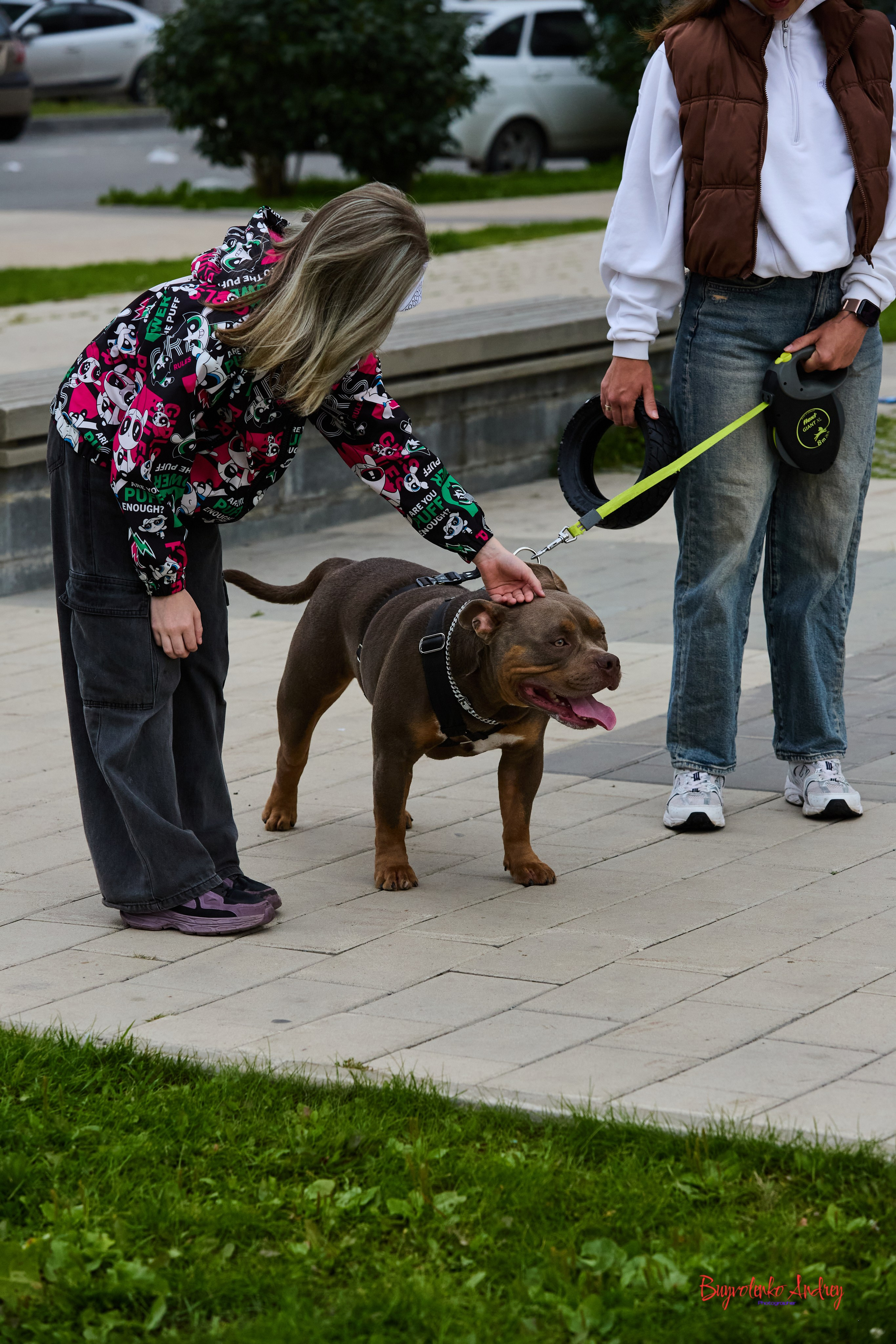 Проект фотопрогулка с хвостиком. Buyvolenko Andrey