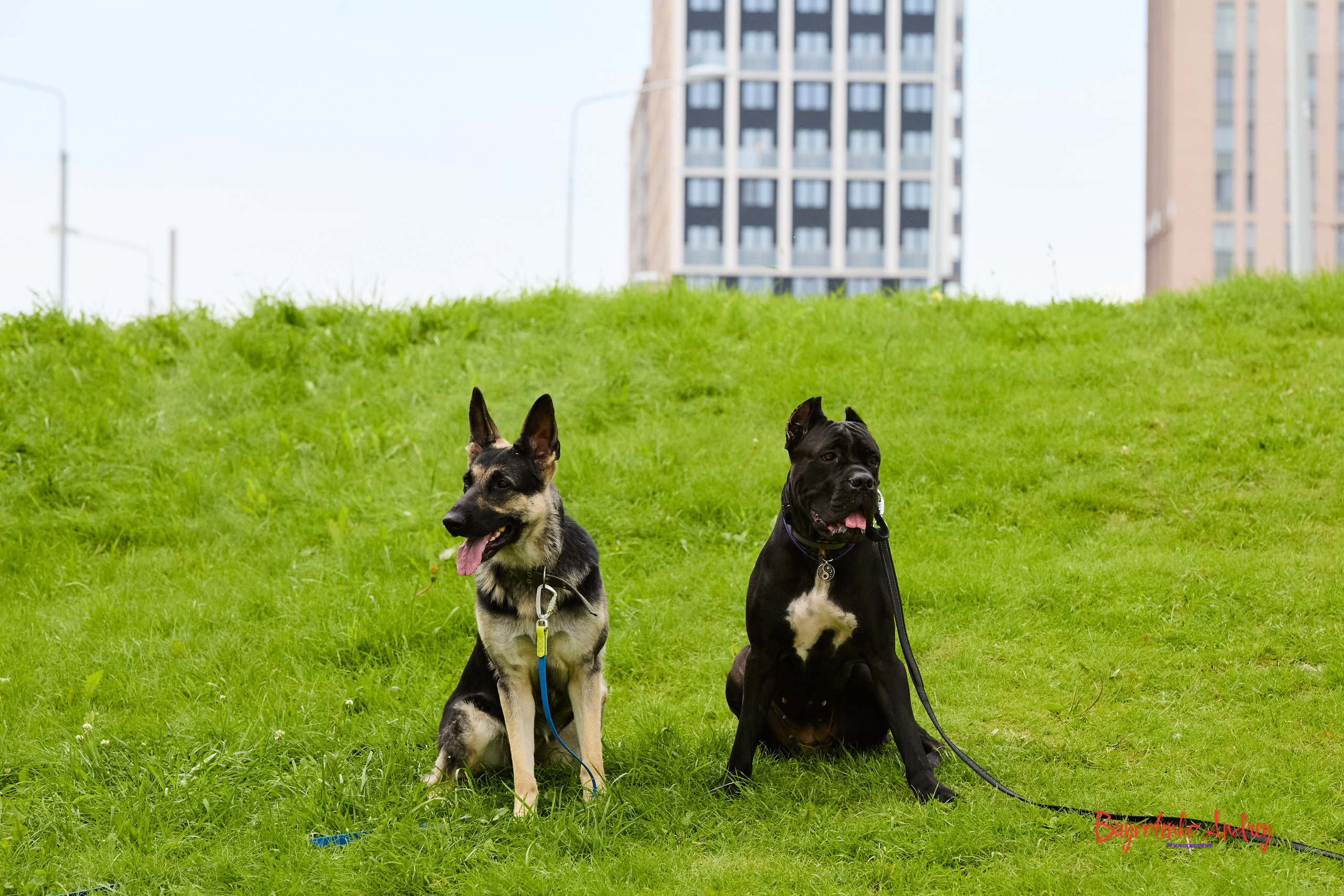 Проект фотопрогулка с хвостиком. Buyvolenko Andrey