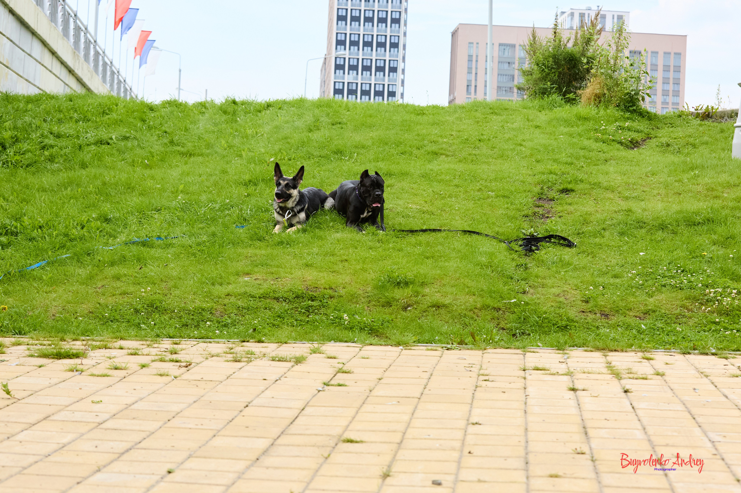 Проект фотопрогулка с хвостиком. Buyvolenko Andrey