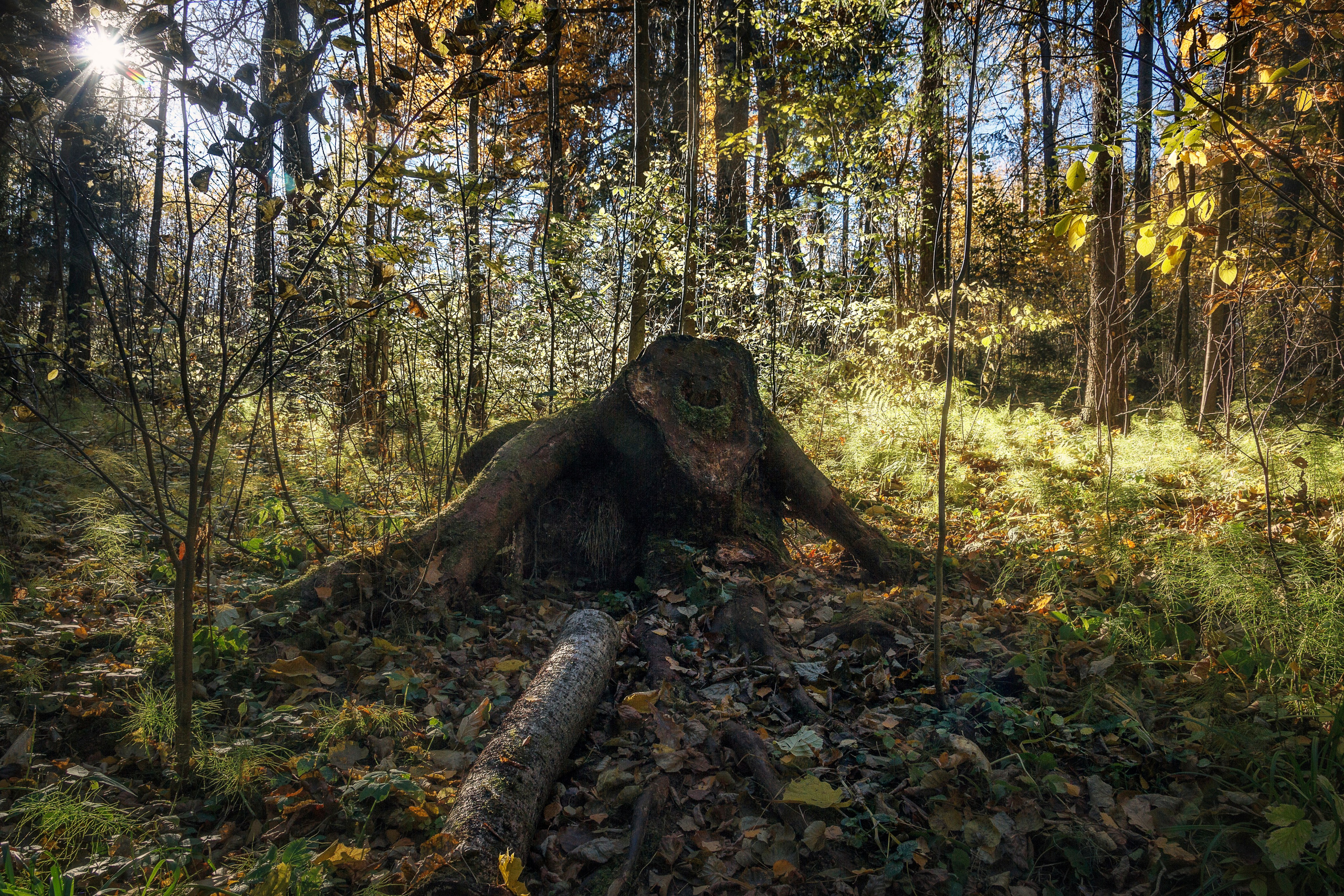 Древняя Русь. Семейный и детский фотограф