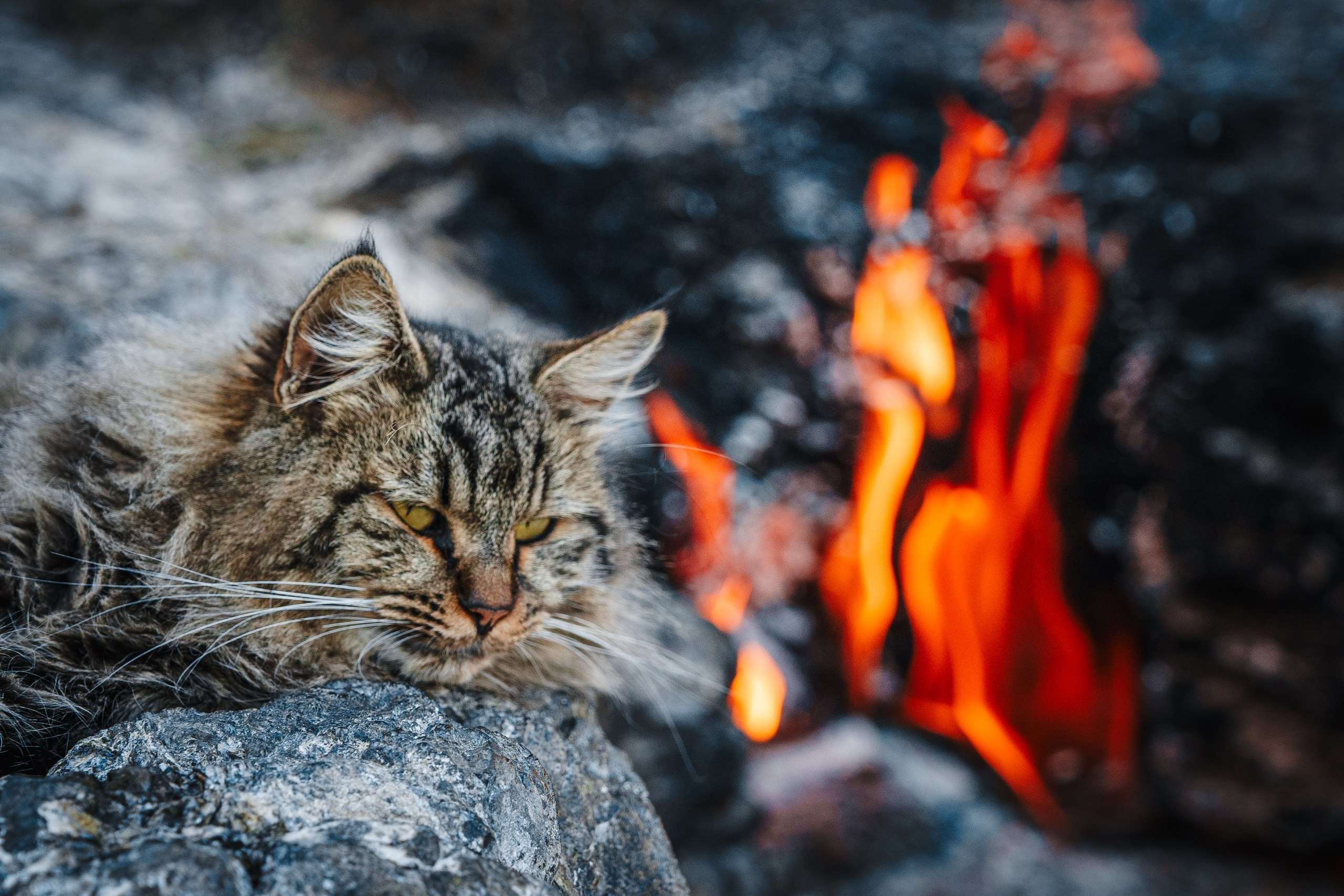 поход по ликийской тропе 2026