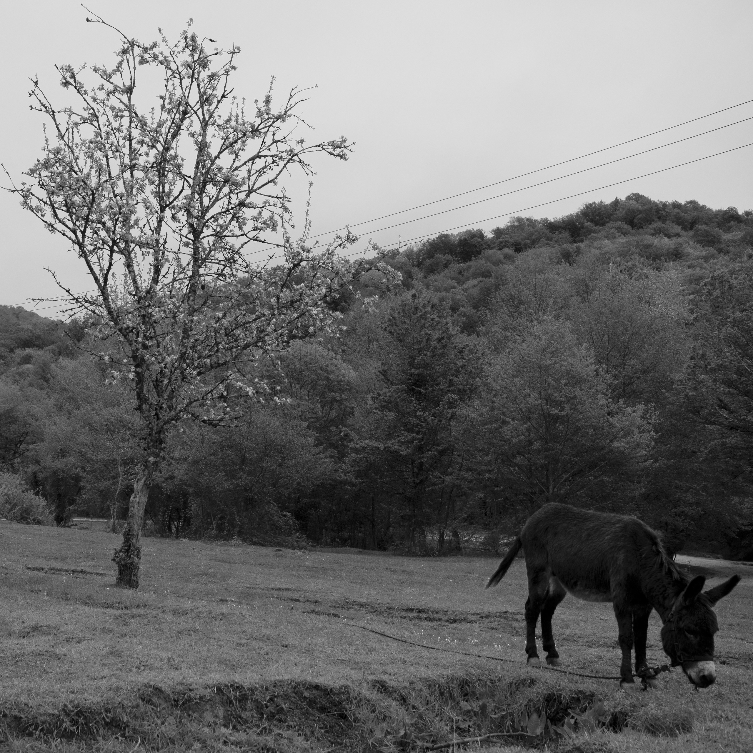 Сочи, 2022. Портретный фотограф в Москве Евгения Яковенко