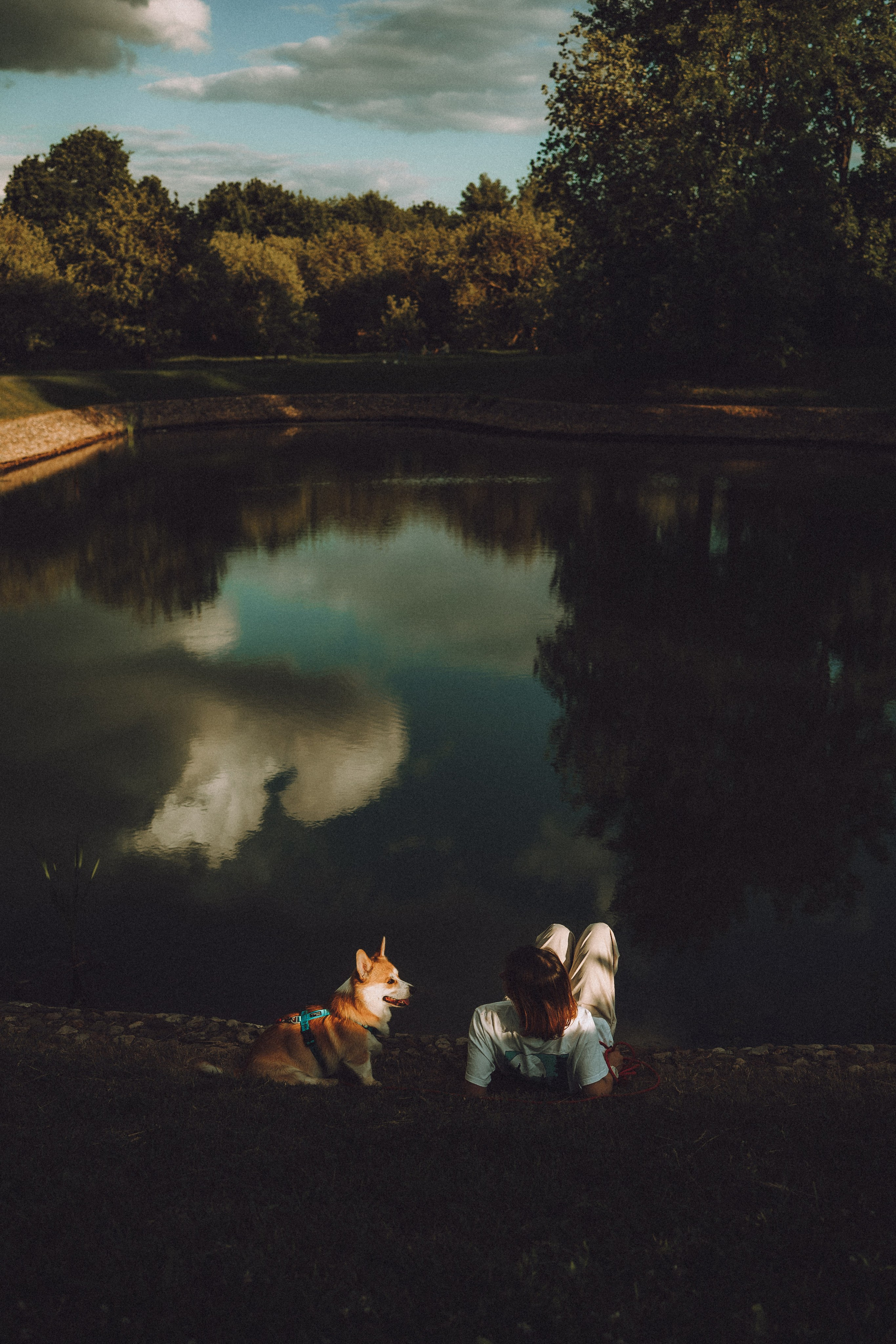 Вирджик и его семья