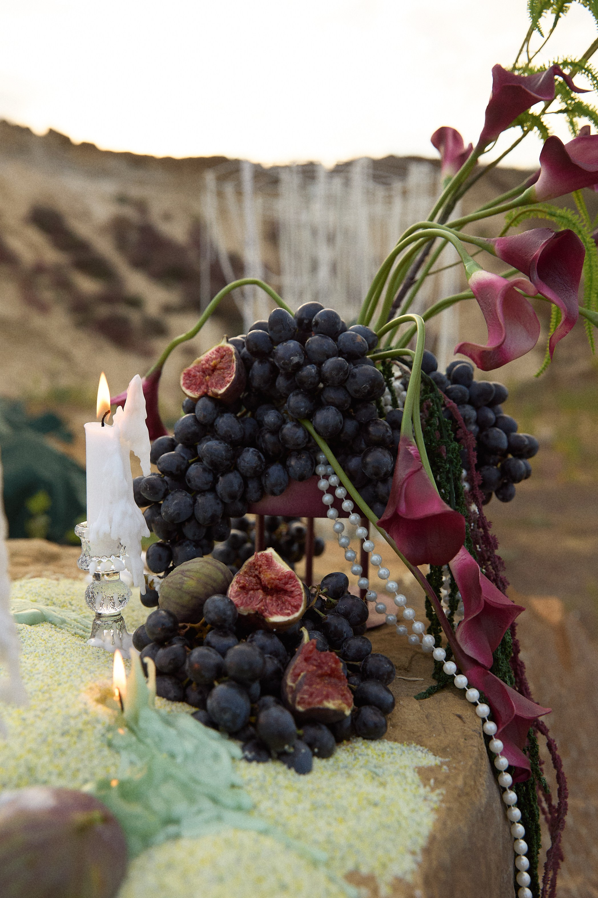 We'd. Фотограф Максим Маркелов